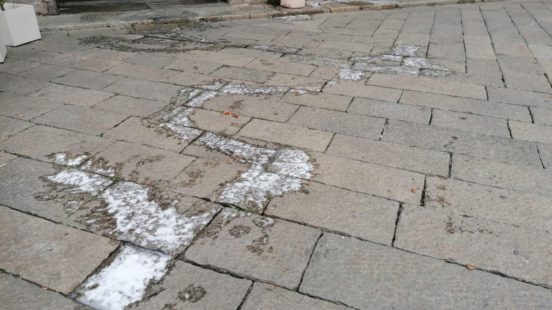 Via le erbacce da piazza Cavalli, ma la schiuma fa discutere. "Metodo sicuro"