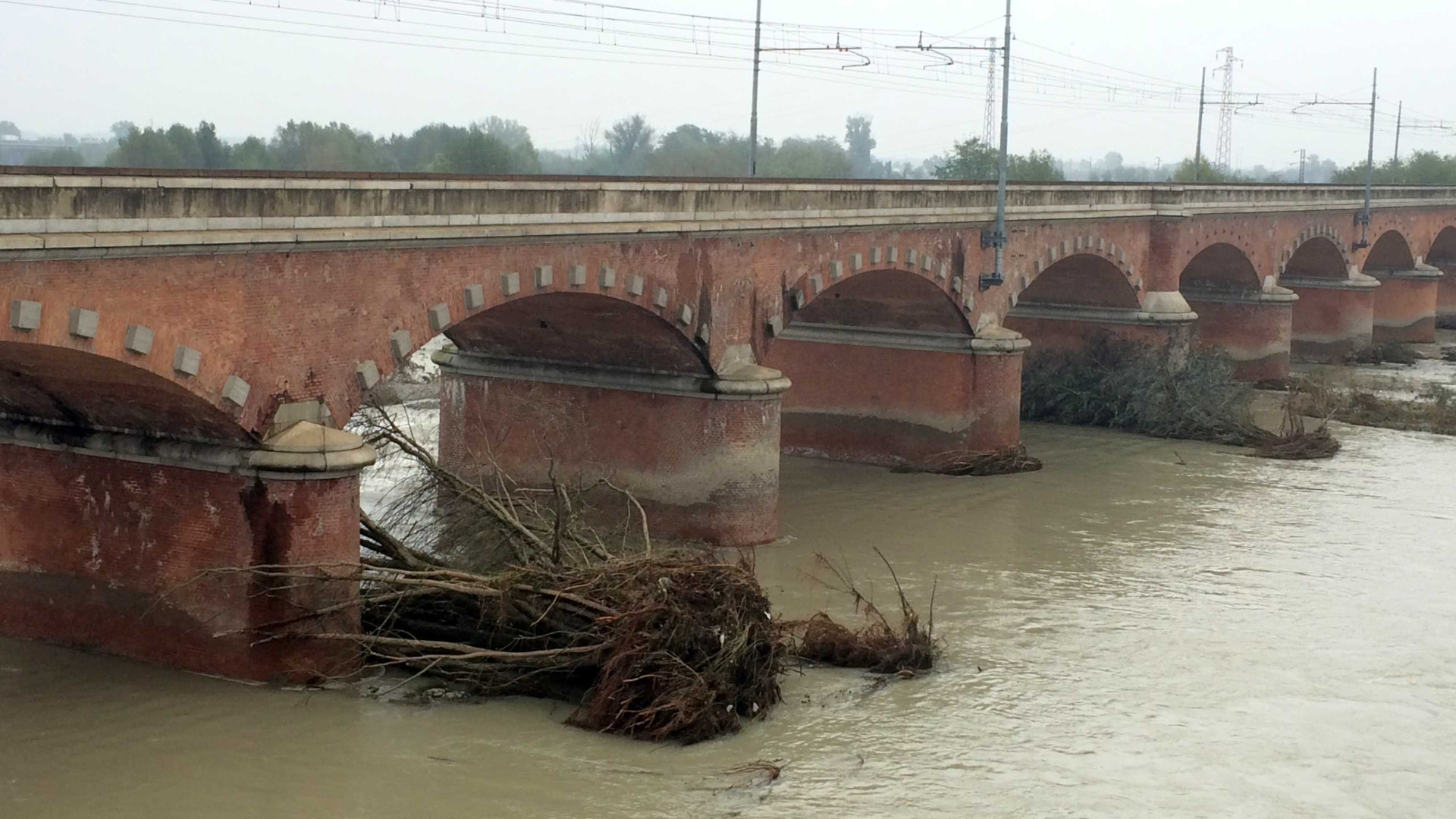 Ponte di San Nicolò, la piena del Trebbia riporta il problema dei tronchi