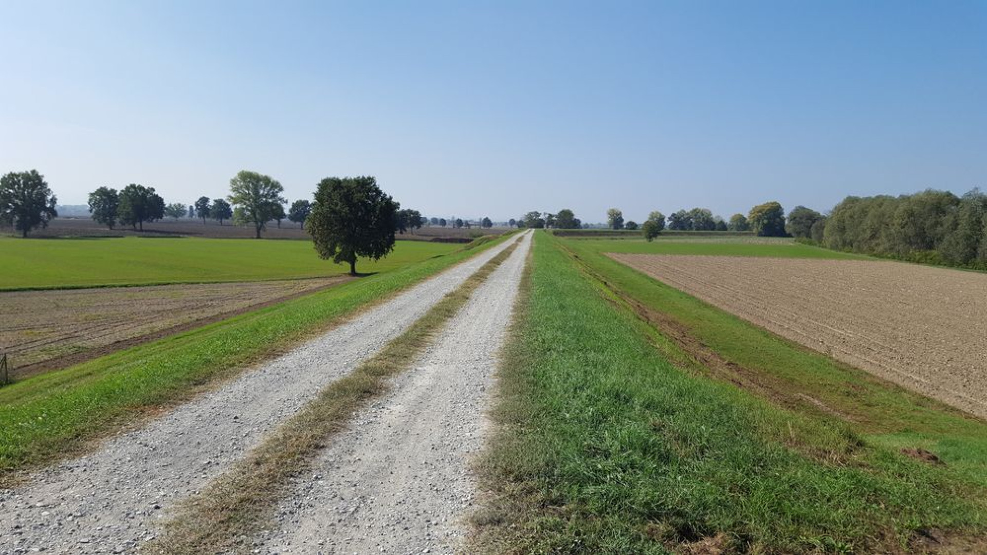 Dalla zona rossa all'argine del Po in pieno coprifuoco: 800 euro di sanzione
