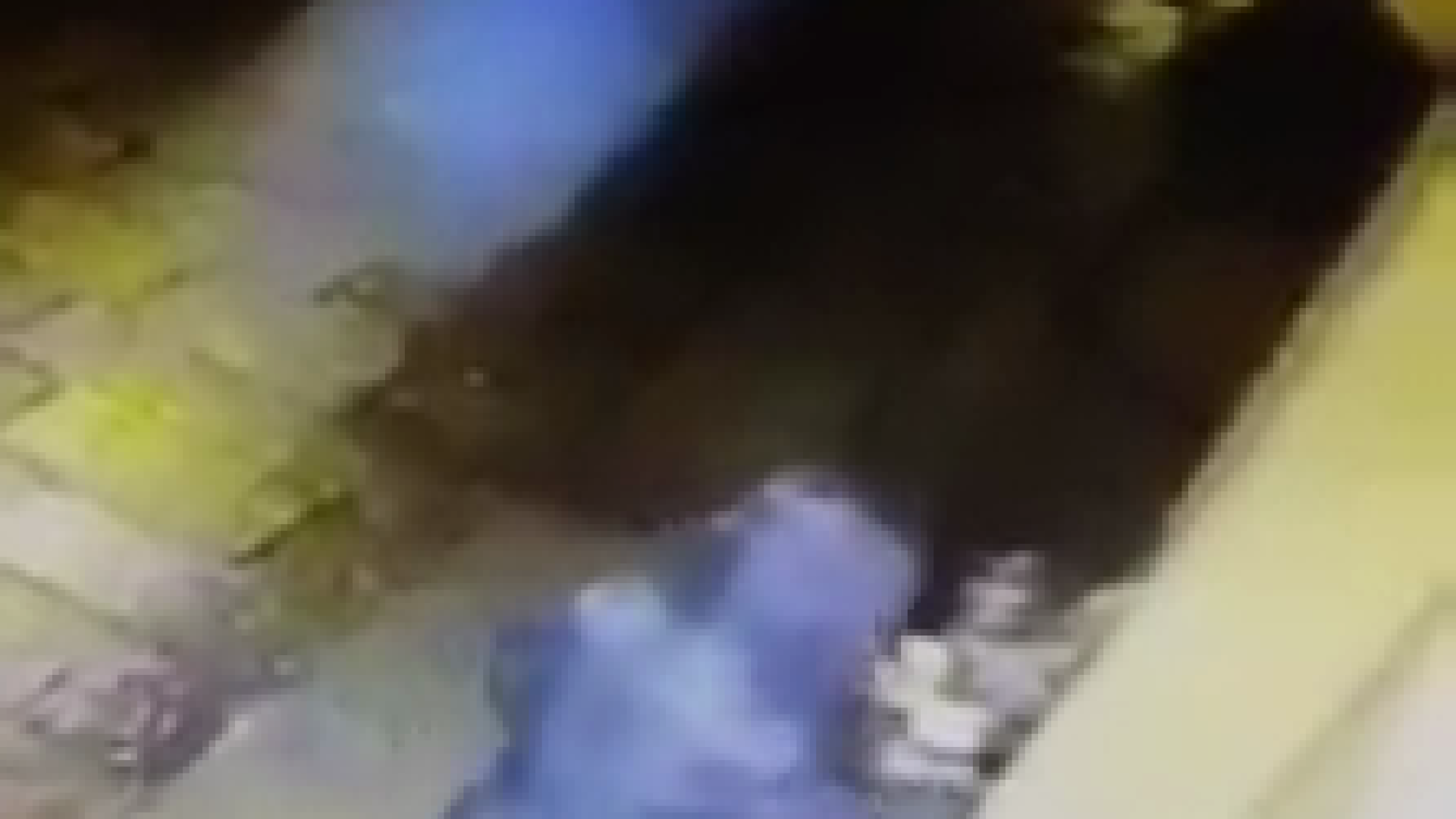 Via Calzolai, saccheggiate le fioriere nella notte. IL VIDEO DEI FURTI