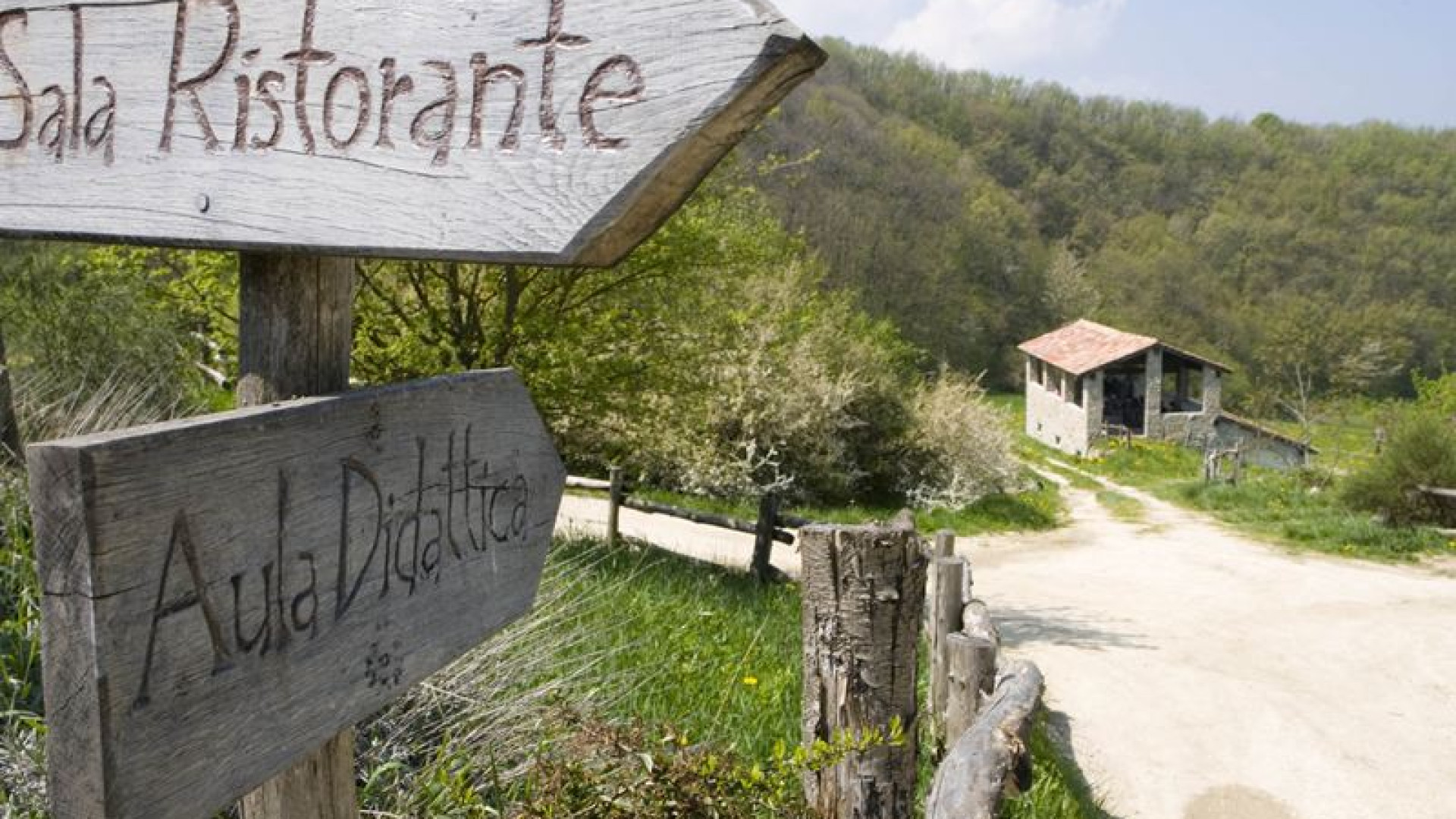 Imprese agricole: 1,2mln per investimenti in agriturismi ed energia alternativa