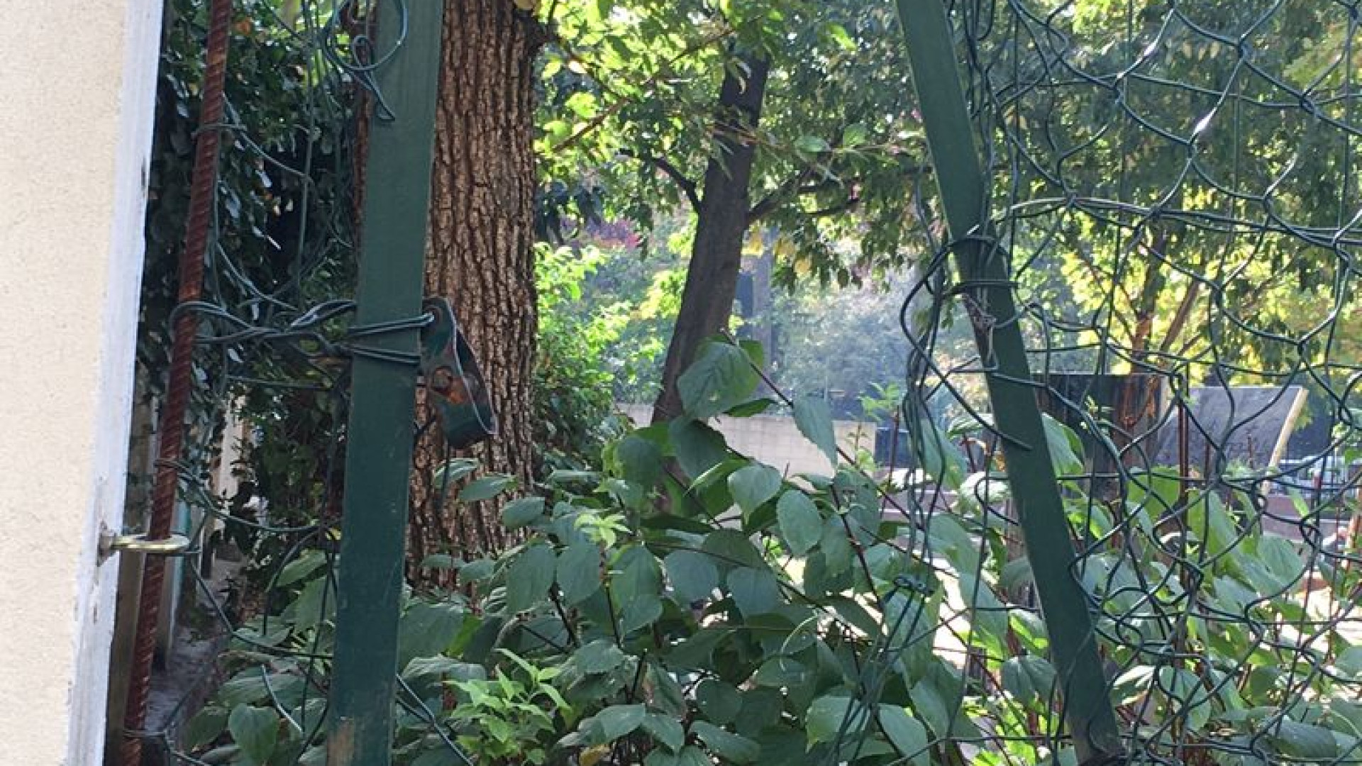 Giardini Padre Gherardo: di giorno frequentati dai bambini e la notte rifugio per tossicodipendenti