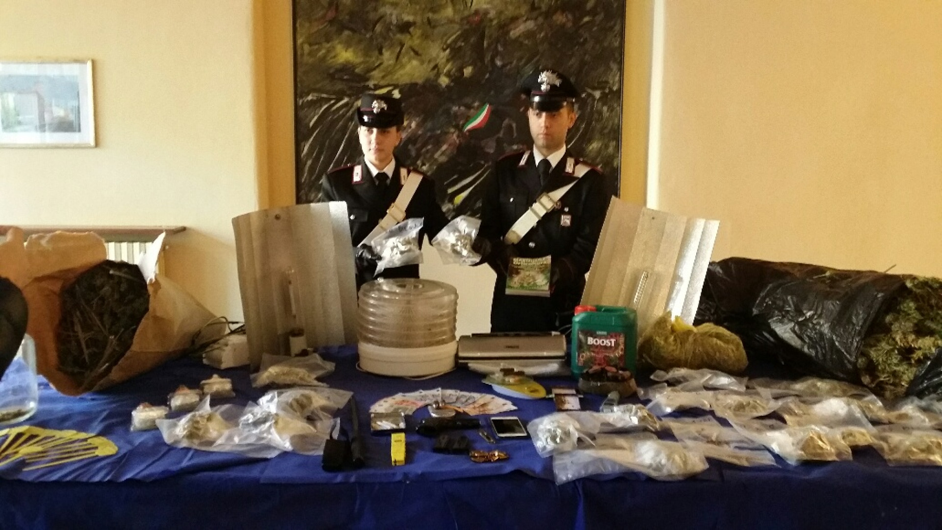 Coltivazione intensiva di marijuana in una villa in centro, 44enne arrestato
