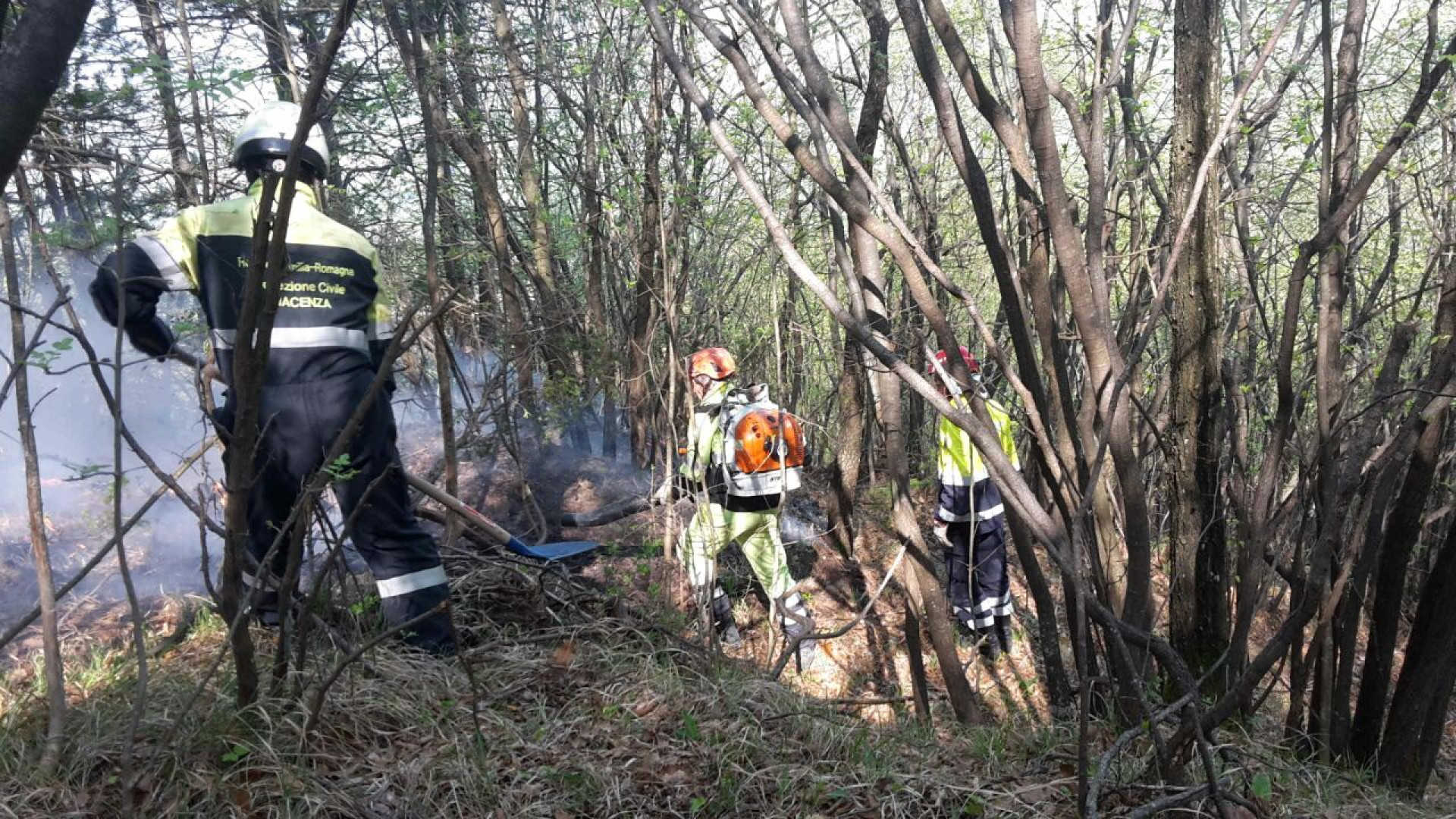 Incendi boschivi: dal 30 giugno scatta la fase di attenzione
