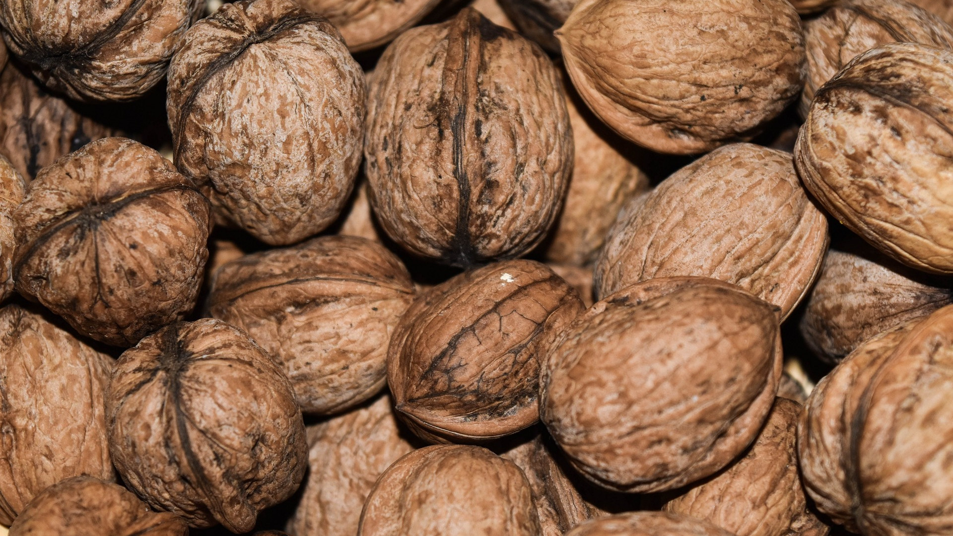 "Noci del cuore 2023" la campagna di Progetto Vita per dire no agli infarti