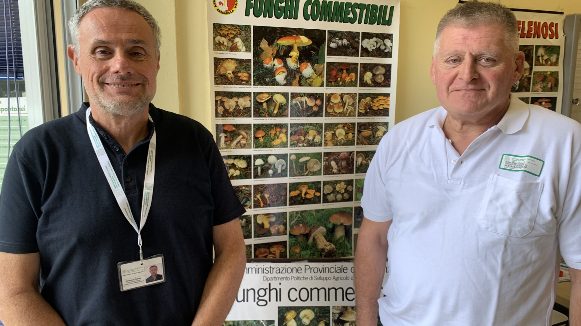 Funghi, dall'Ausl ogni anno 100 certificazioni. Due casi di intossicazione nel 2023