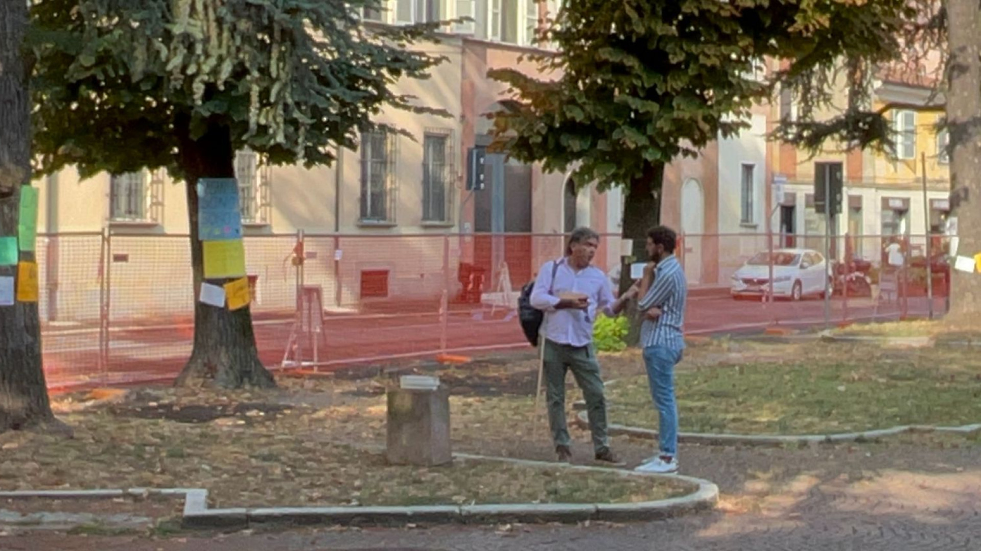 Stop al taglio degli alberi in Cittadella? Il Comune apre: "Valutiamo il trapianto"