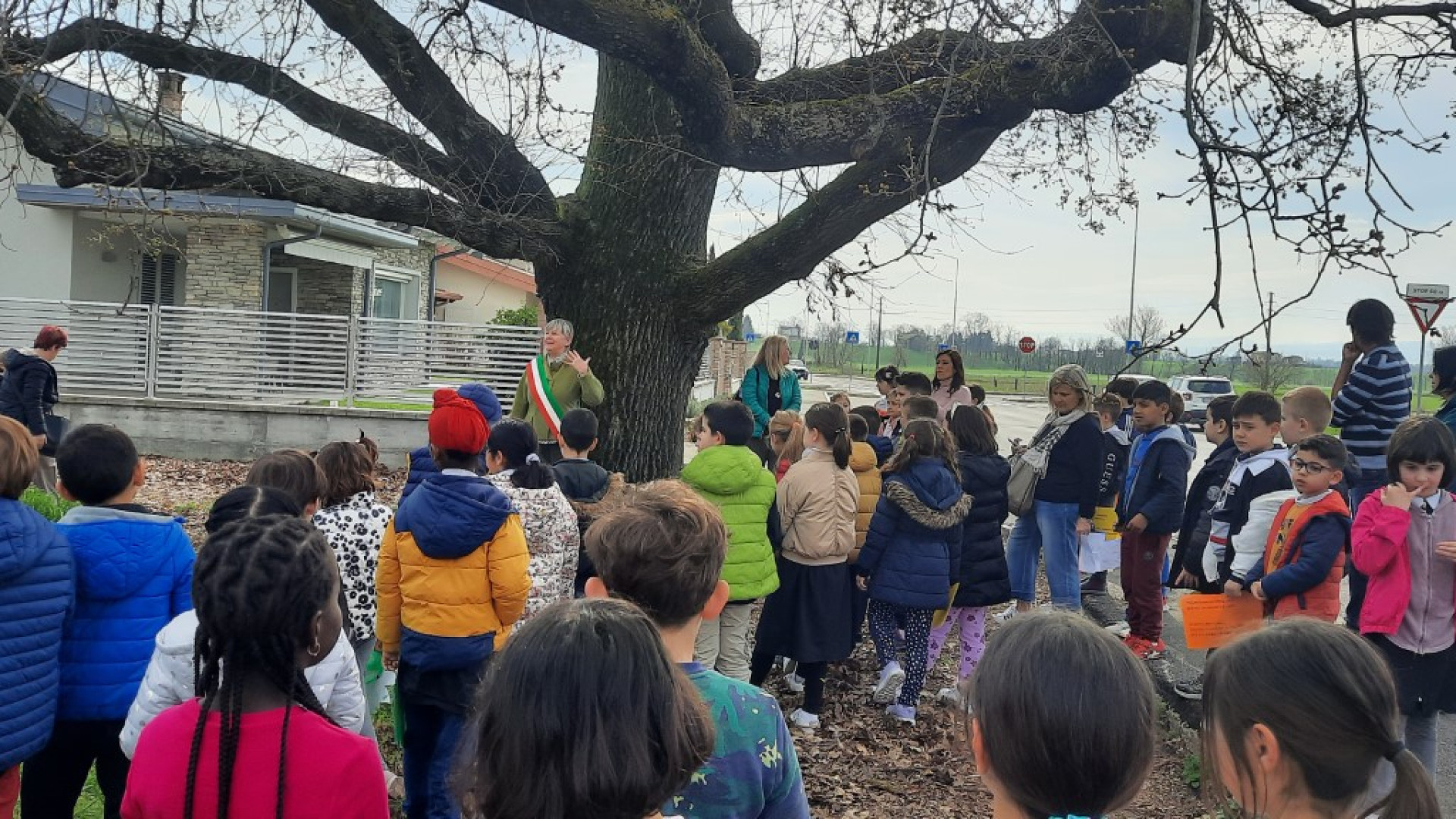 Castel San Giovanni, "nonna quercia" avrà presto un nome grazie ai giovani studenti