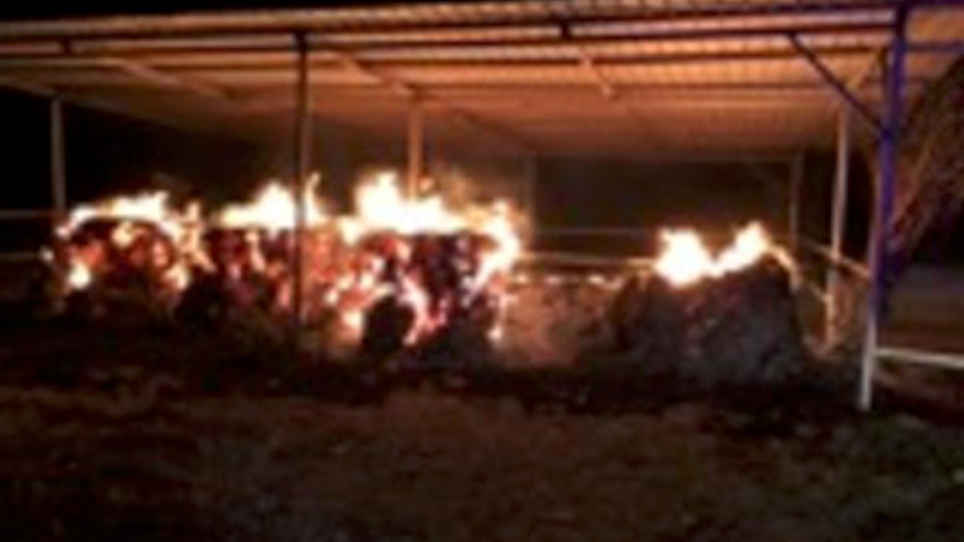 Rotoballe in fiamme nella notte in un maneggio. Salvi gli animali