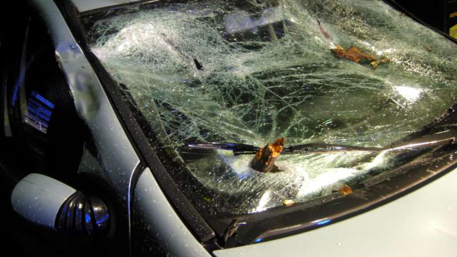 Maltempo: albero cade su auto distruggendola. Piogge fino a lunedì