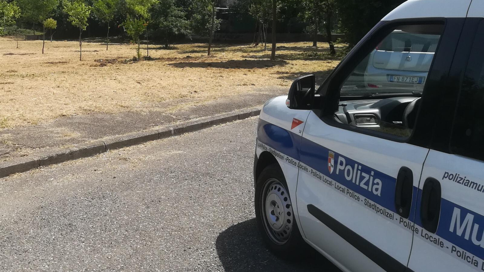 Sfalcio aree senza pace: polizia locale scopre smaltimento irregolare del verde