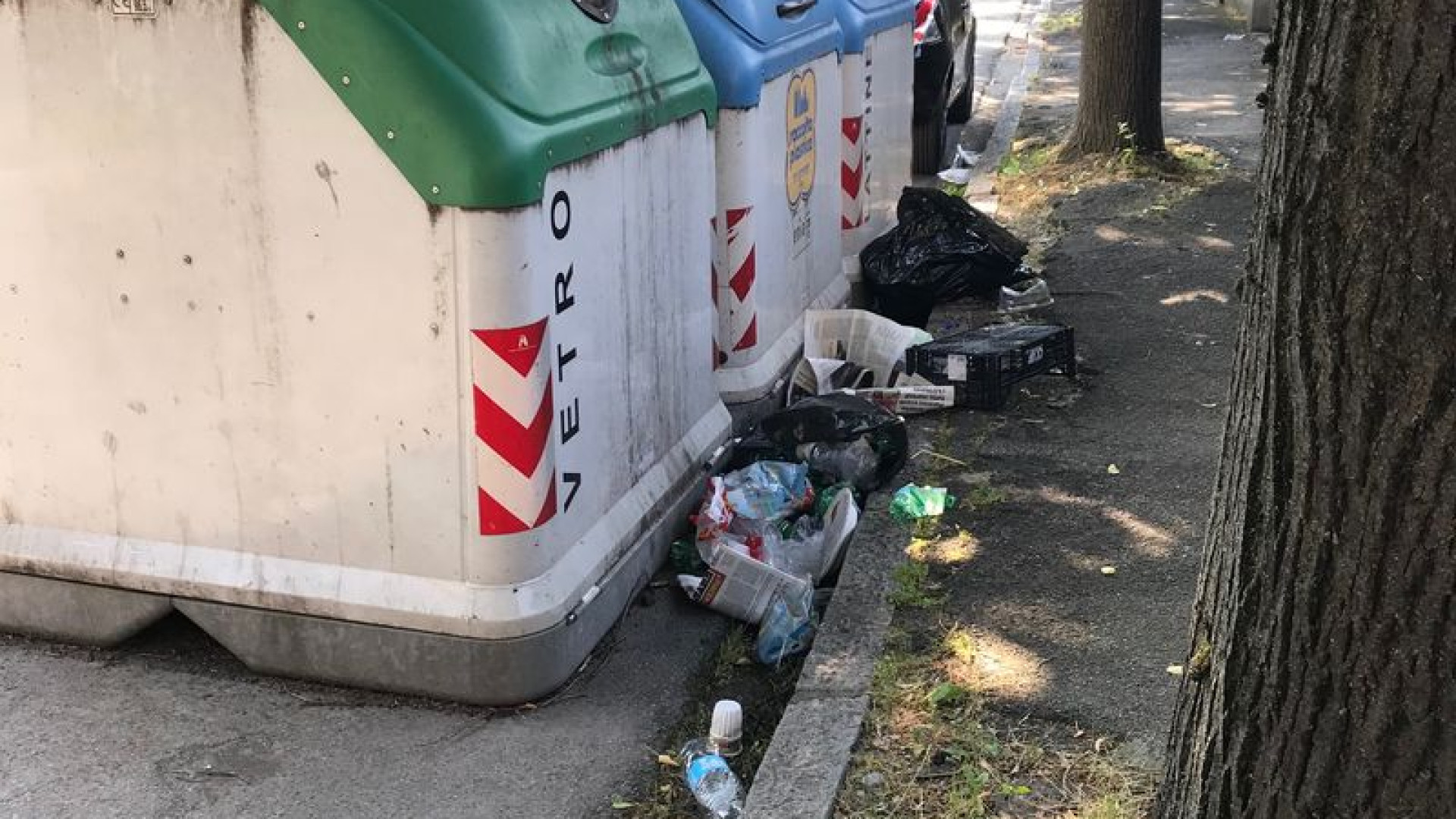 Degrado in via Pietro Cella e auto in divieto, residente: "Qui vige l'anarchia"