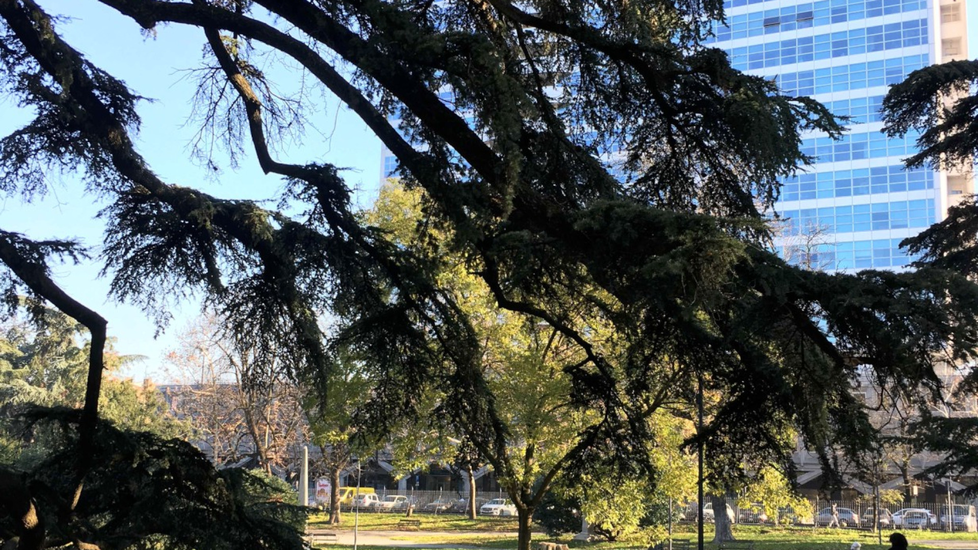 "Giardini da vivere”, più sicuri e a misura di disabili con la app dedicata