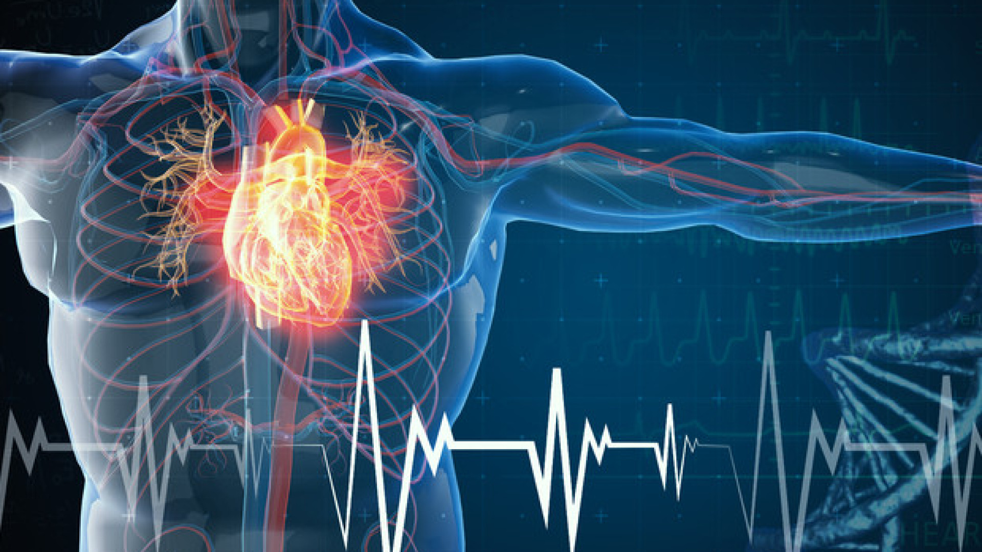 Stenosi aortica, a Piacenza nuove tecniche mini invasive: al via corso di formazione