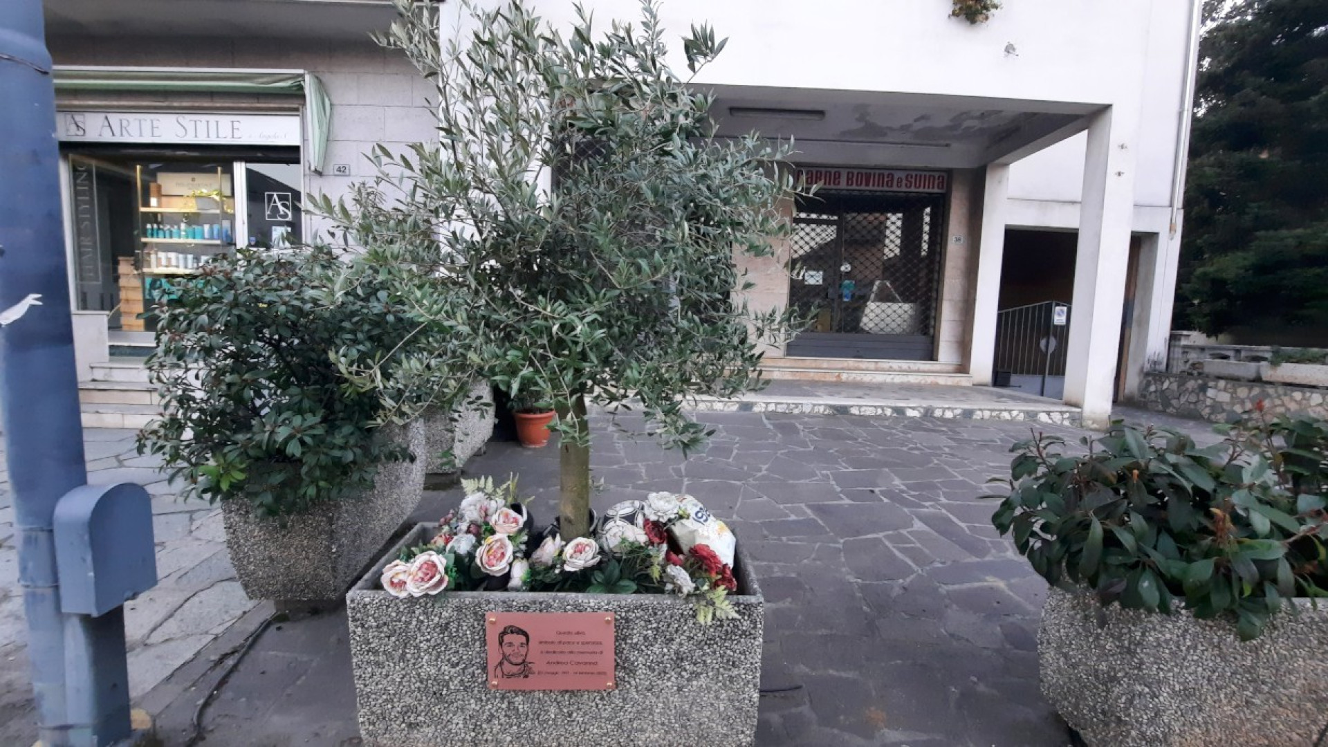 "Accendi il cervello”. Cartelli per la sicurezza stradale in memoria di Andrea Cavanna