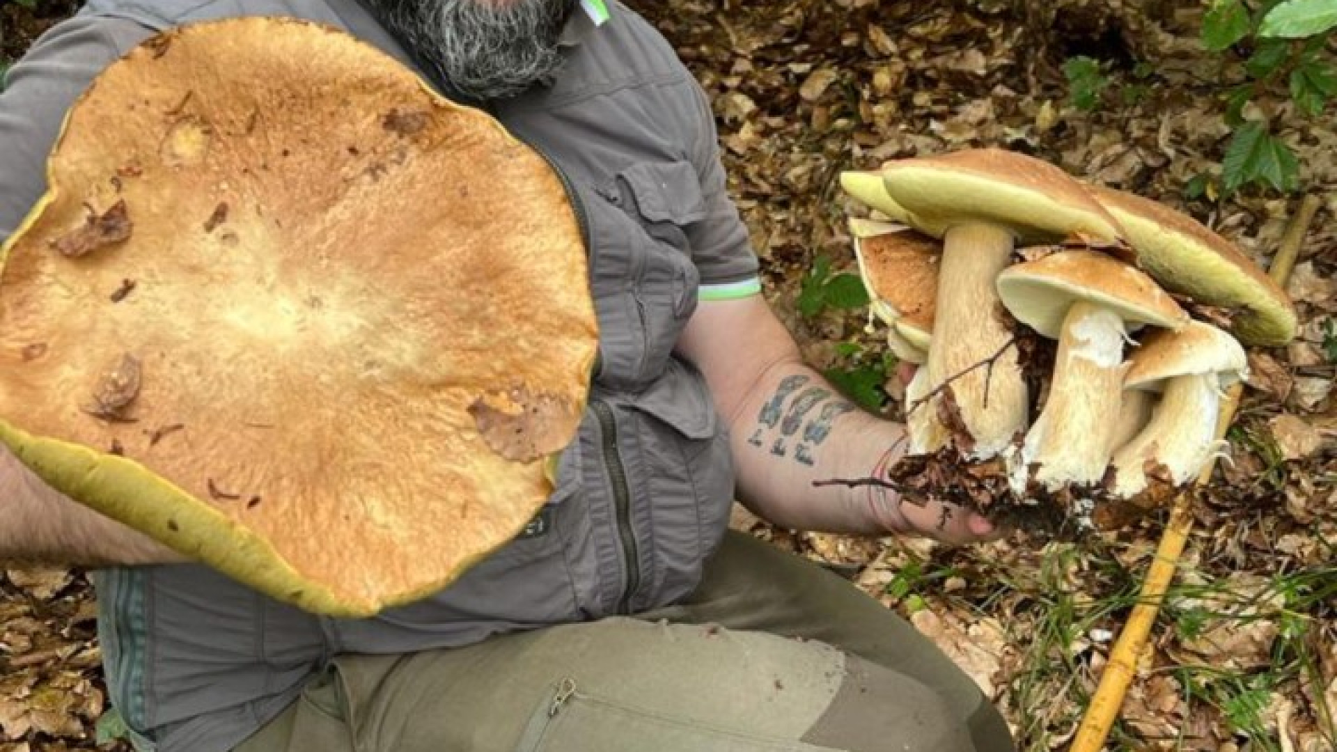 Un porcino da oltre due chili raccolto nei boschi dell'Alta Val Nure