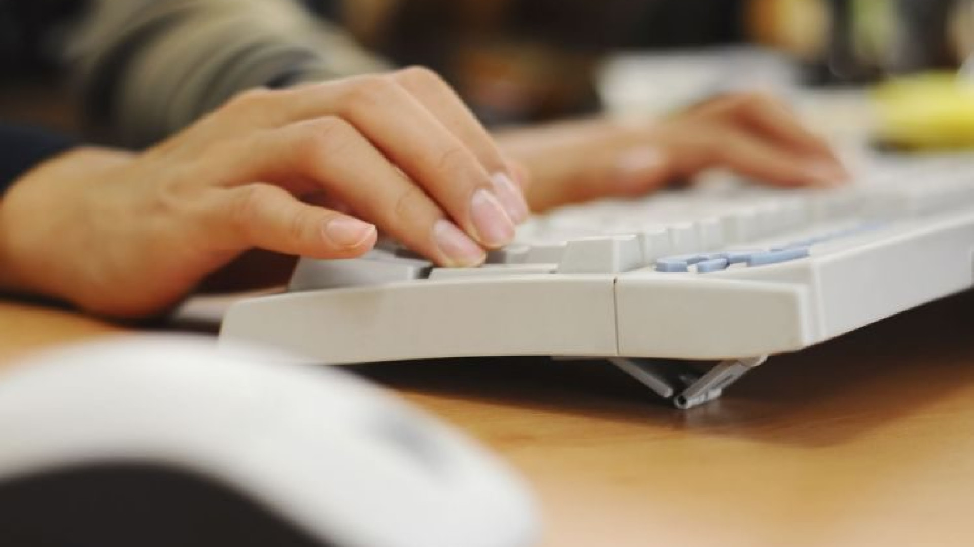 Cresce il commercio via internet: 44 imprese piacentine vendono on line