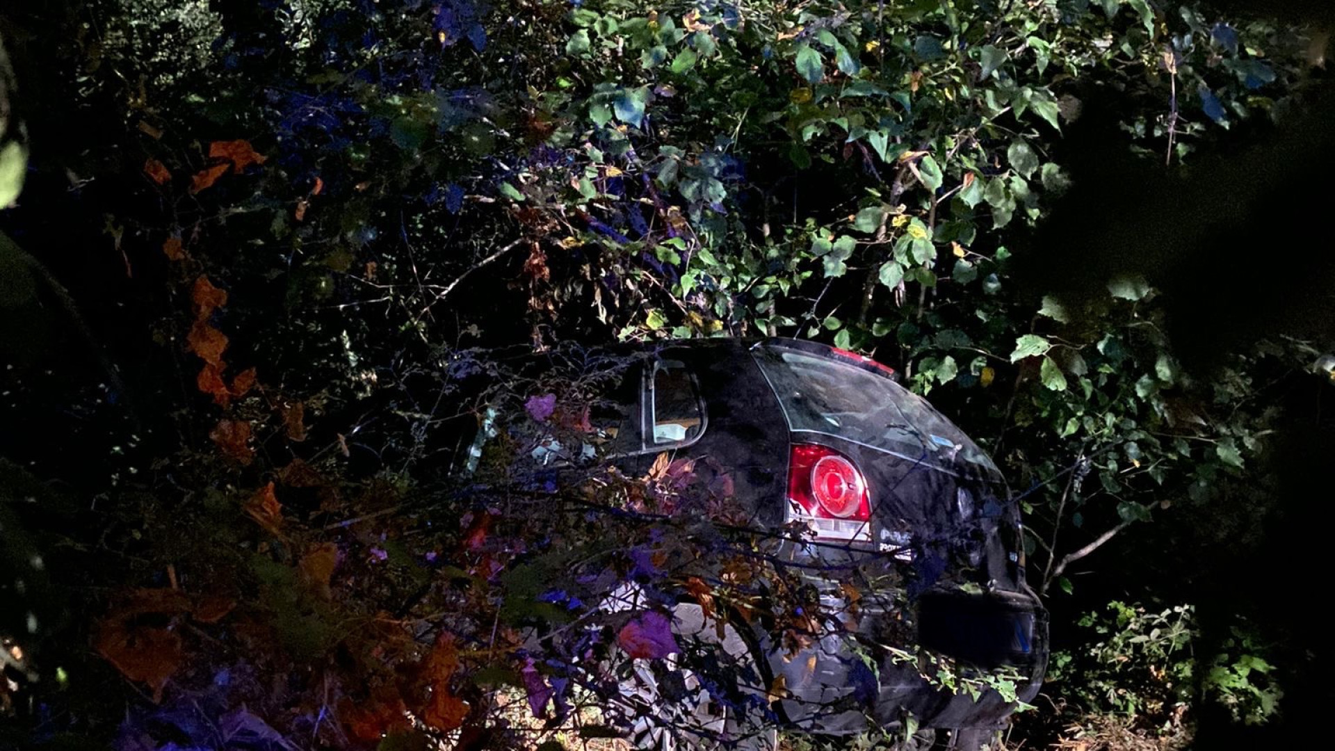 Auto distrutta nel bosco, arrivano i soccorritori ma a bordo non c'è nessuno