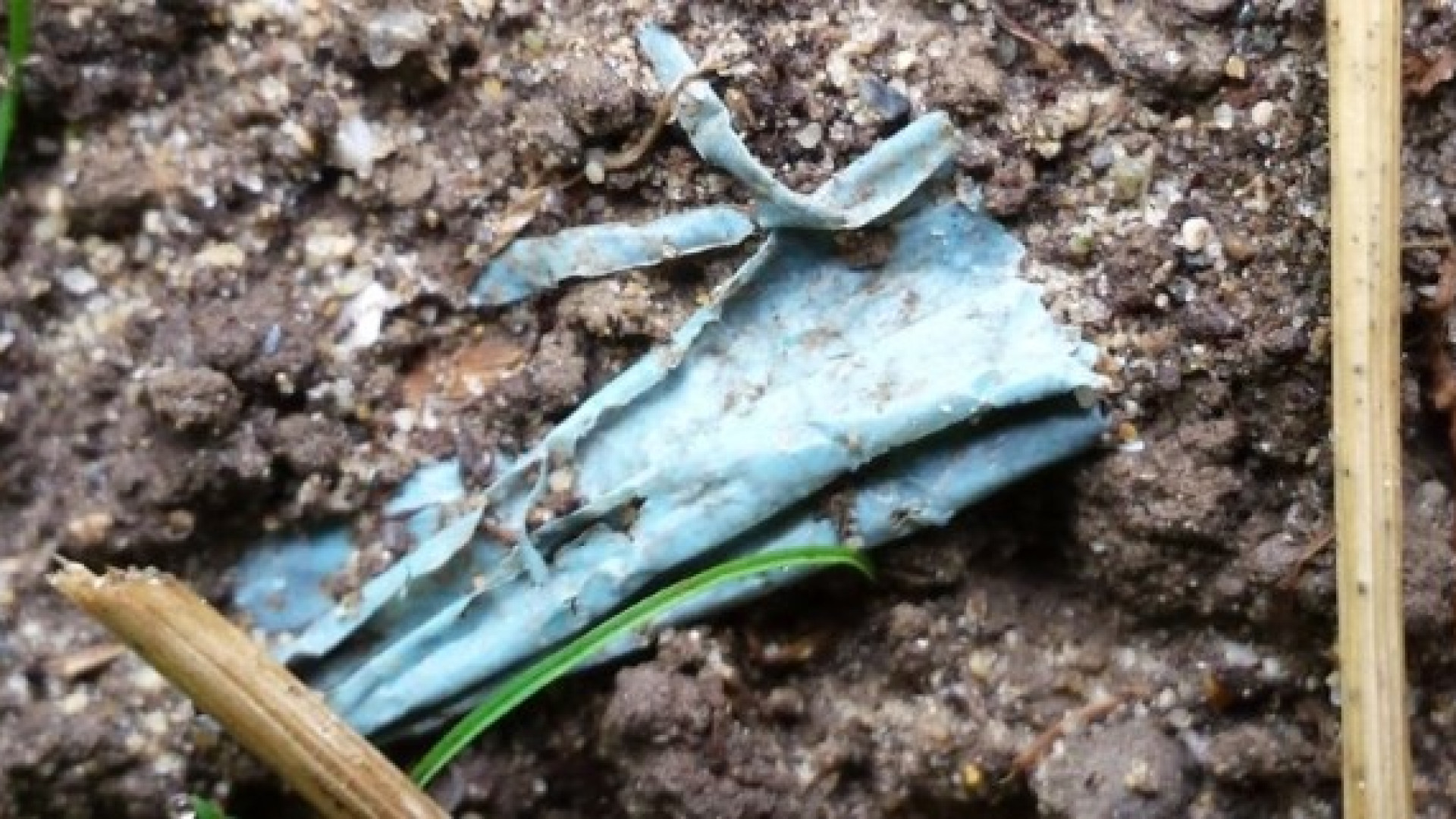 Gli effetti delle plastiche sul suolo in una una ricerca dell'Università Cattolica