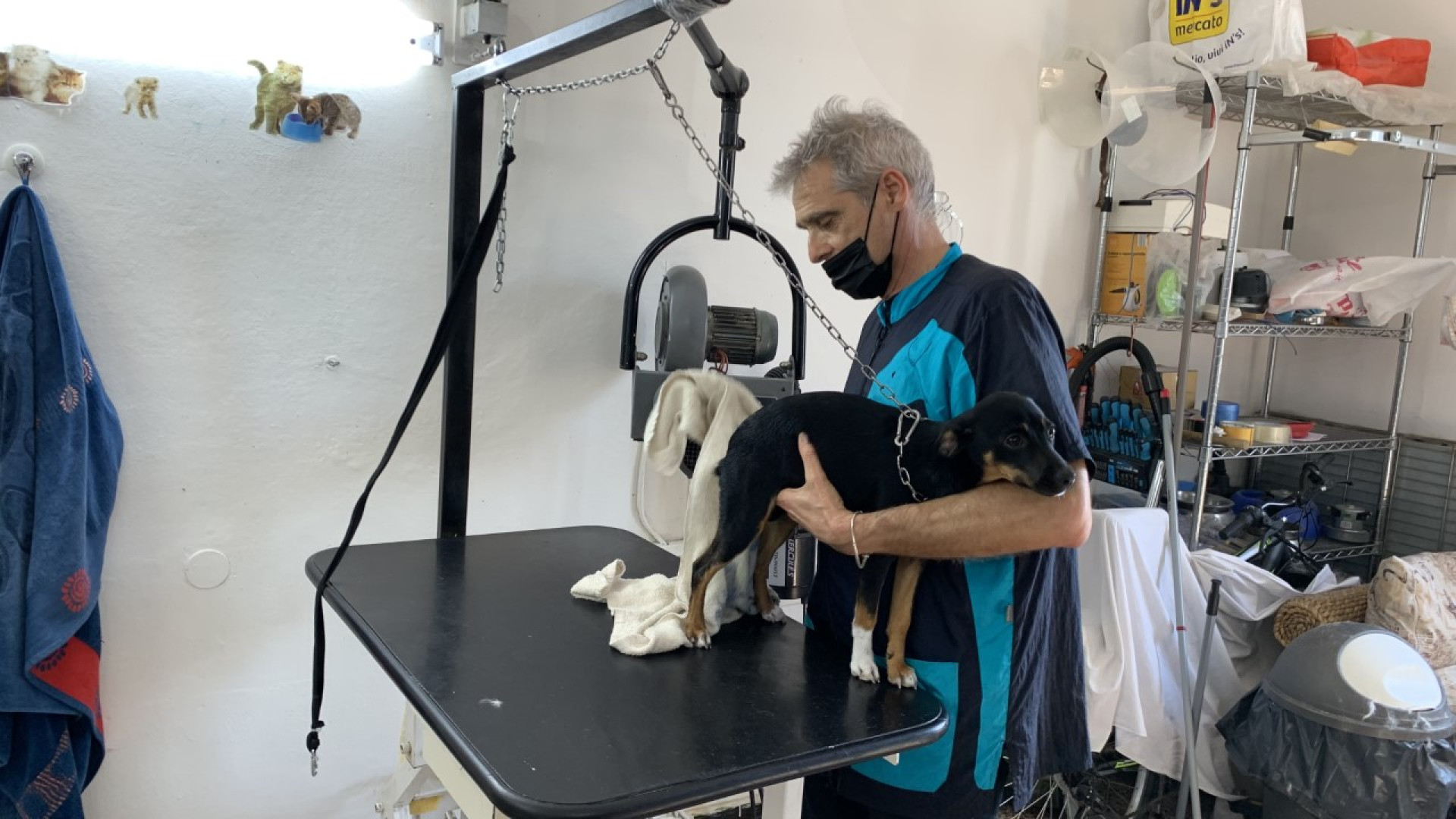 Boom di prenotazioni alle toelettature. Orario non-stop per soddisfare le richieste