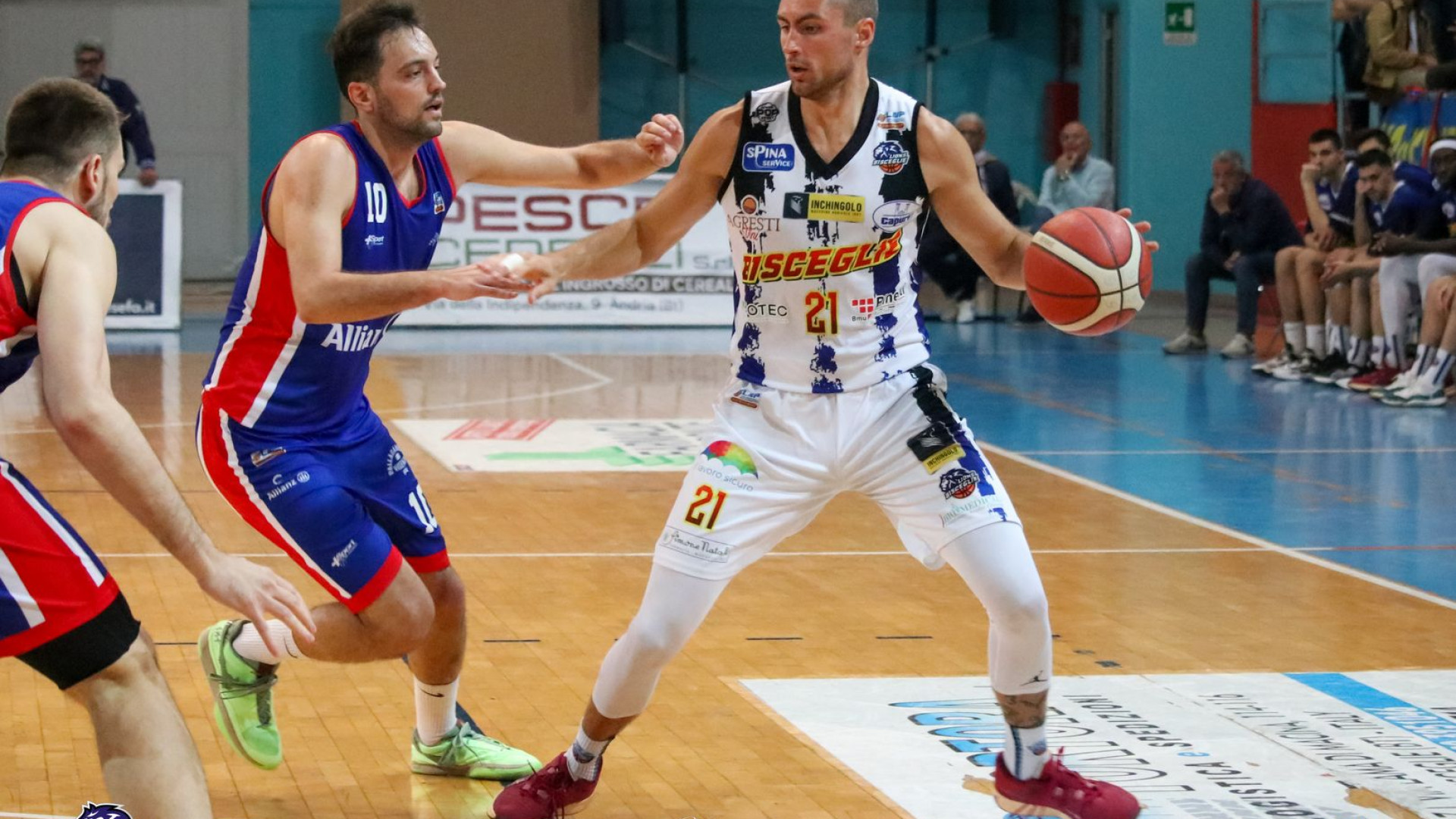 La Bakery Piacenza si rinforza con l'ingaggio dell'esterno Raphael Chiti