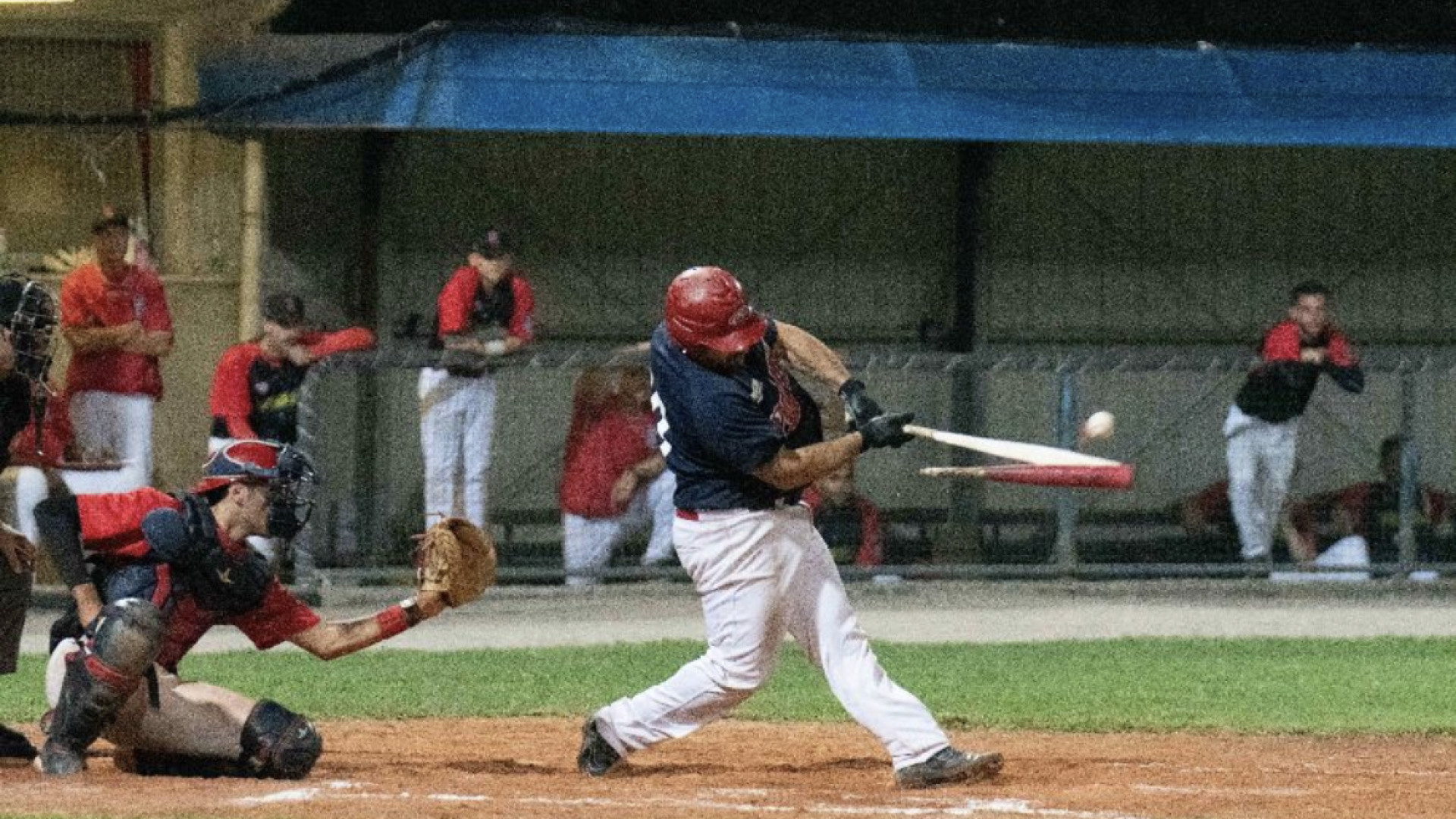Finisce il sogno playoff del Piacenza Baseball. Reggio Emilia vince la serie 3-1
