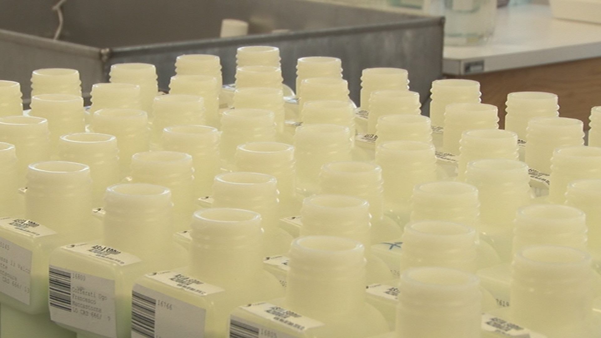 Latte piacentino: in calo utilizzo di antibiotici e infezioni negli animali