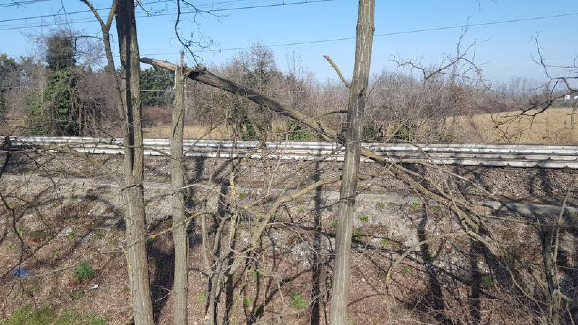 Alberi pericolosi che "minacciano" la ferrovia e rifiuti abbandonati