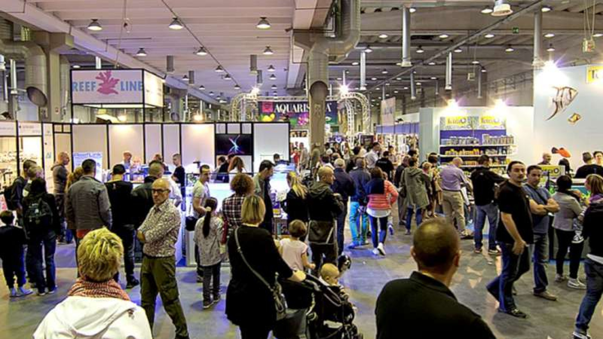 Torna nel week end PetsFestival,la fiera degli animali da compagnia