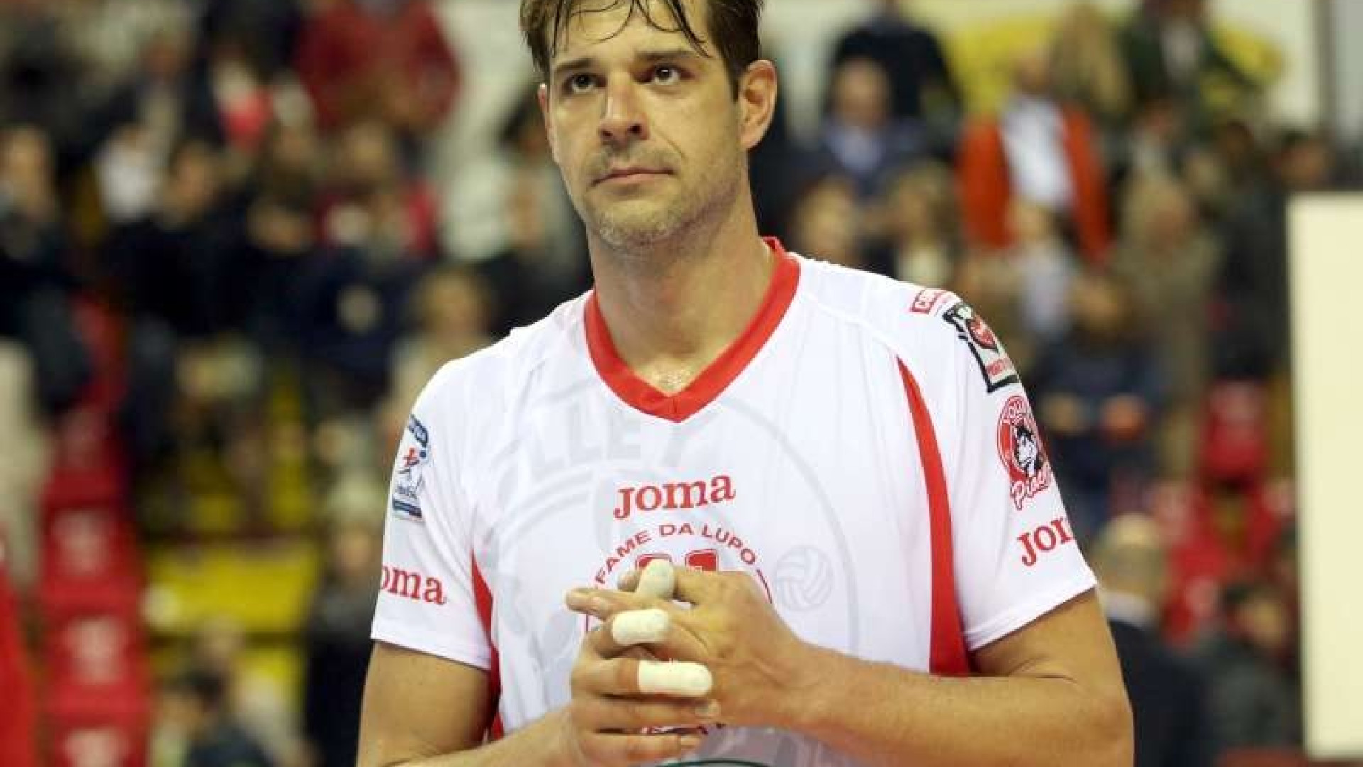 Lpr volley, primi dieci azionisti. Sabato test con Monza