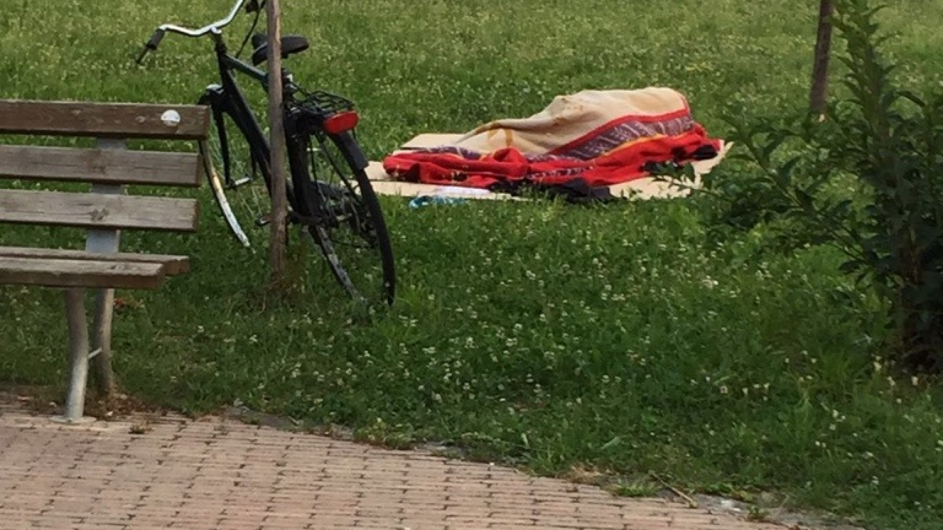 Baia del Re: c'è chi dorme nel parco o crea danni, residenti in protesta