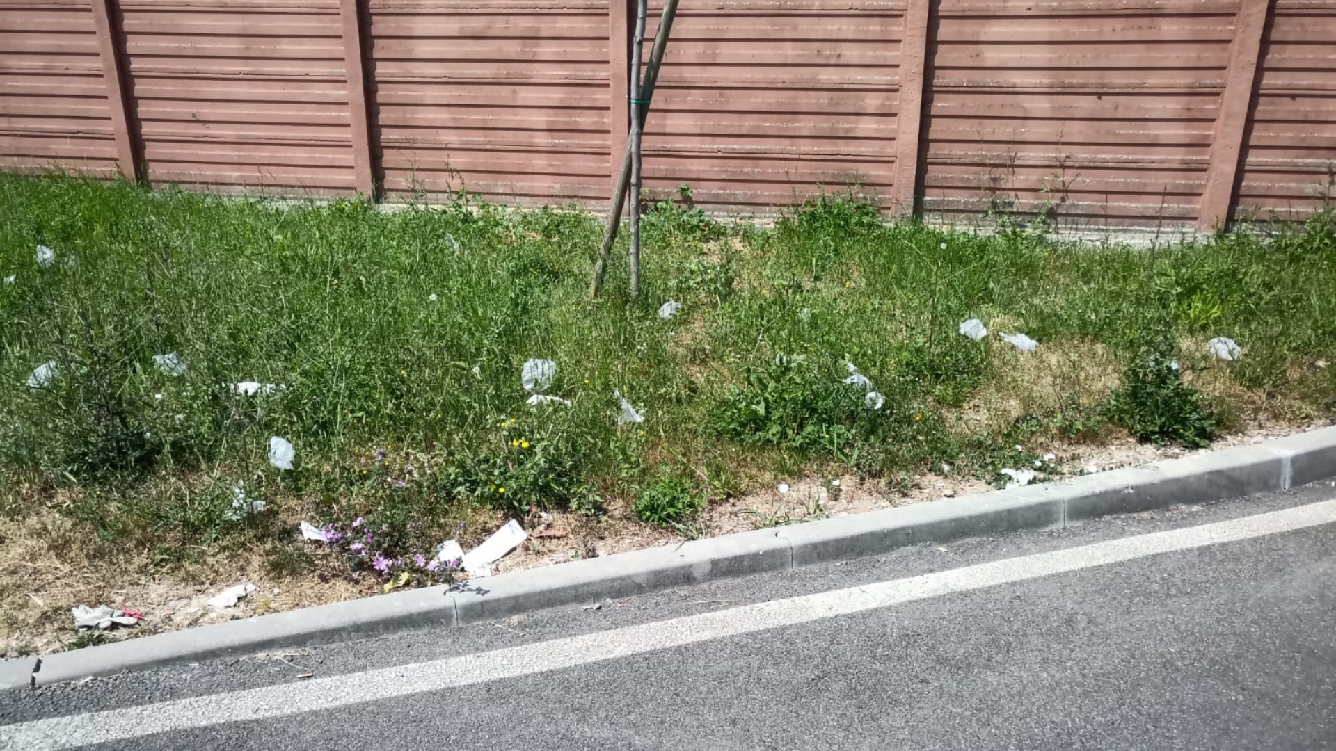 Iren: "Come comportarsi con rifiuti domestici, guanti e mascherine"