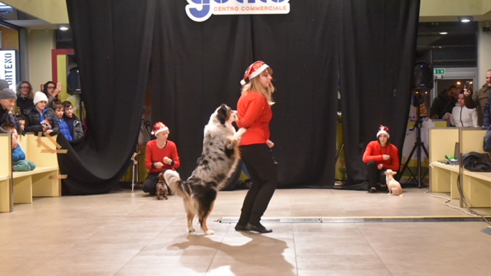 "Tutti pazzi per la dog dance": bambini entusiasti al centro commerciale Gotico