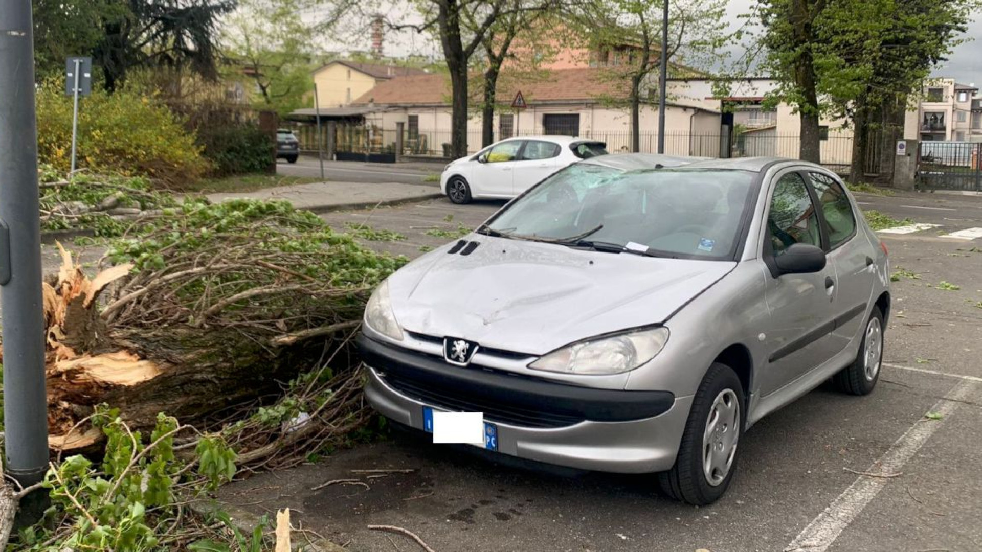 Colpo di coda dell'inverno, temperature in picchiata e gelate. Danni da vento