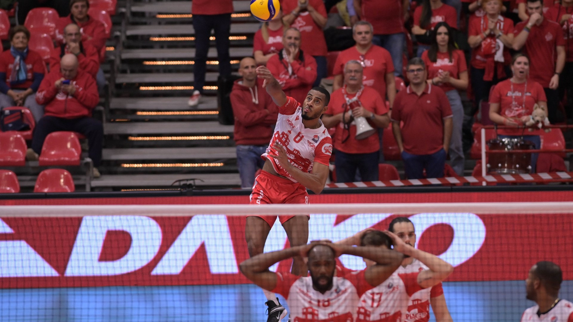 Champions, la Gas Sales Daiko Piacenza volerà a Berlino, Ancara e Lisbona