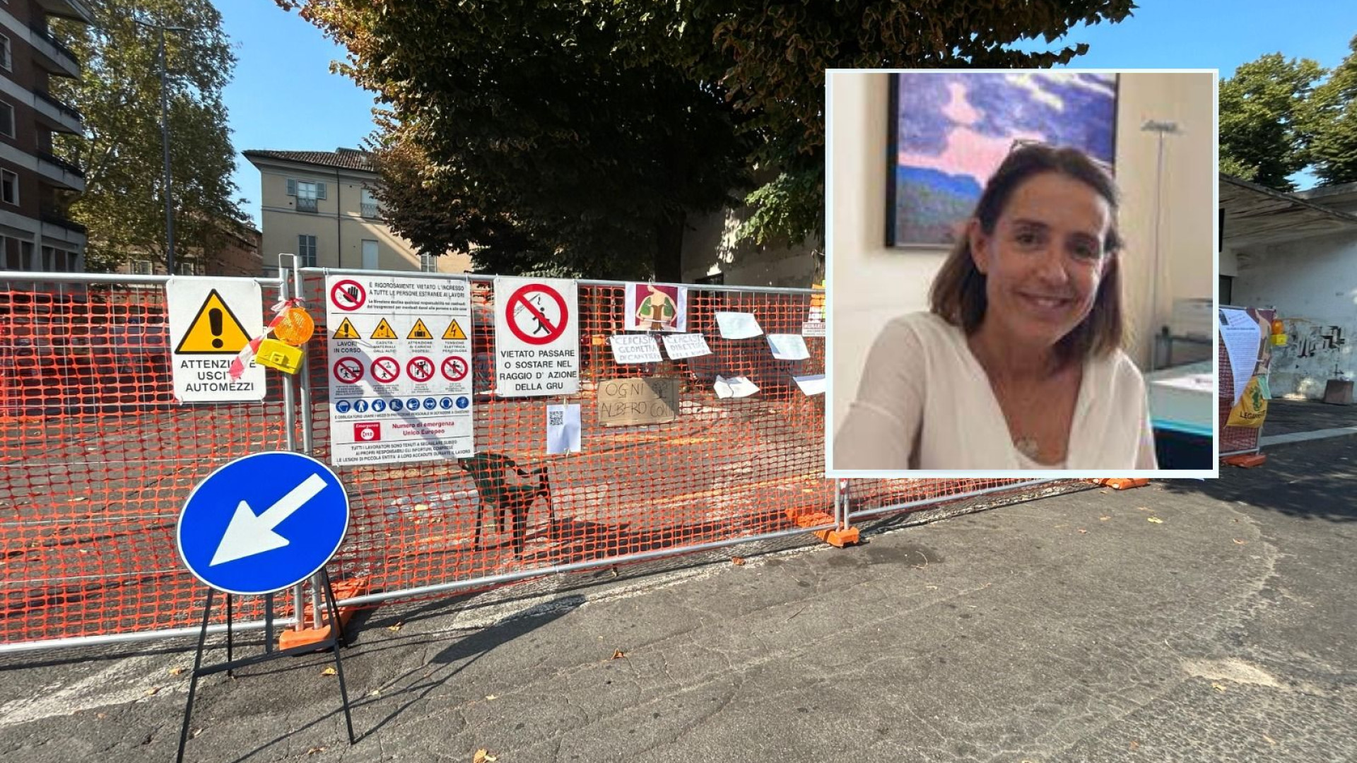 Cittadella, taglio degli alberi sospeso fino al 10 settembre? Tarasconi: "Pare di sì"