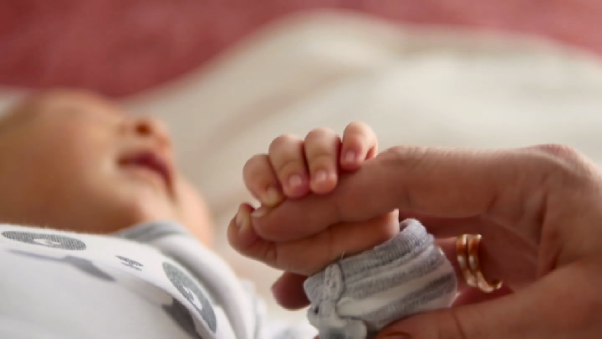Anche il padre a casa insieme al bebè: a Piacenza uno dei primi casi del nuovo congedo