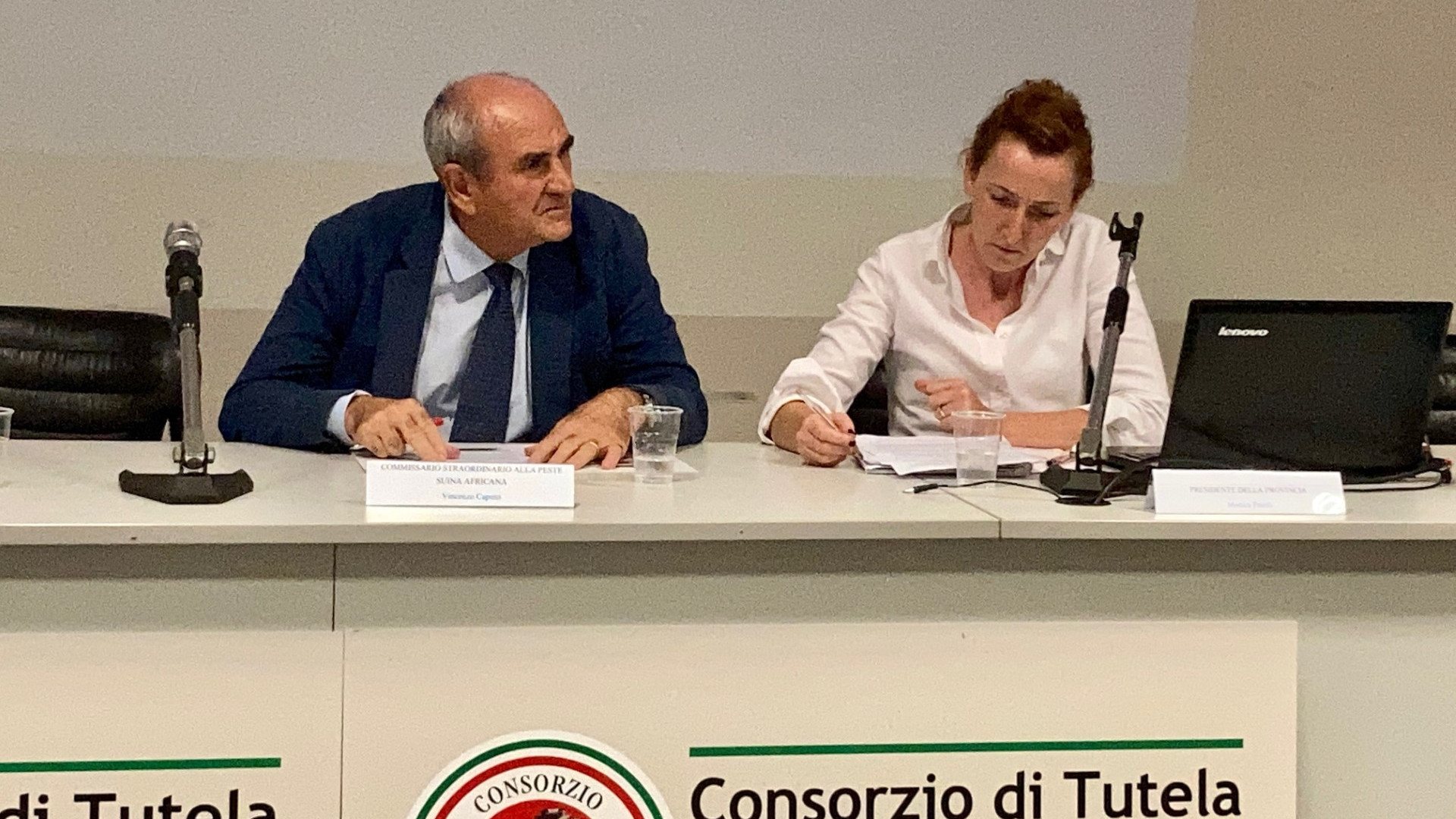 Peste suina, il commissario Caputo a Piacenza: "Piano di abbattimento dei cinghiali"