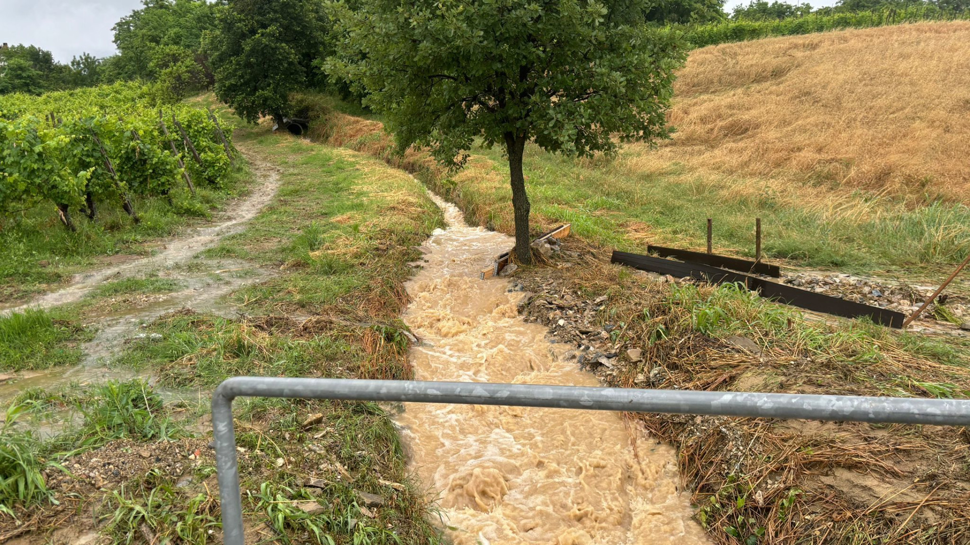 Maltempo, scattata la conta dei danni: "In Val Nure la situazione più critica"