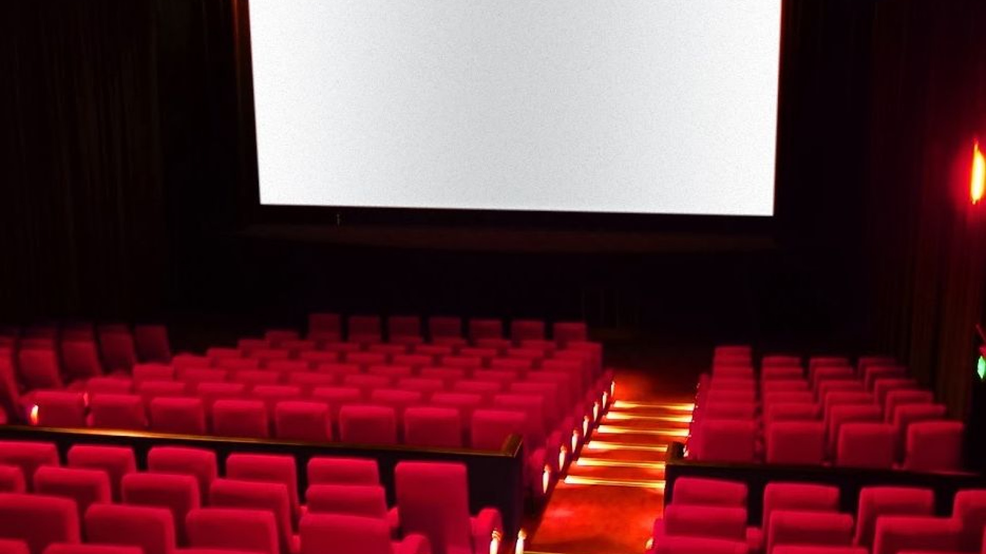Concorso per giovani critici cinematografici, ultima settimana
