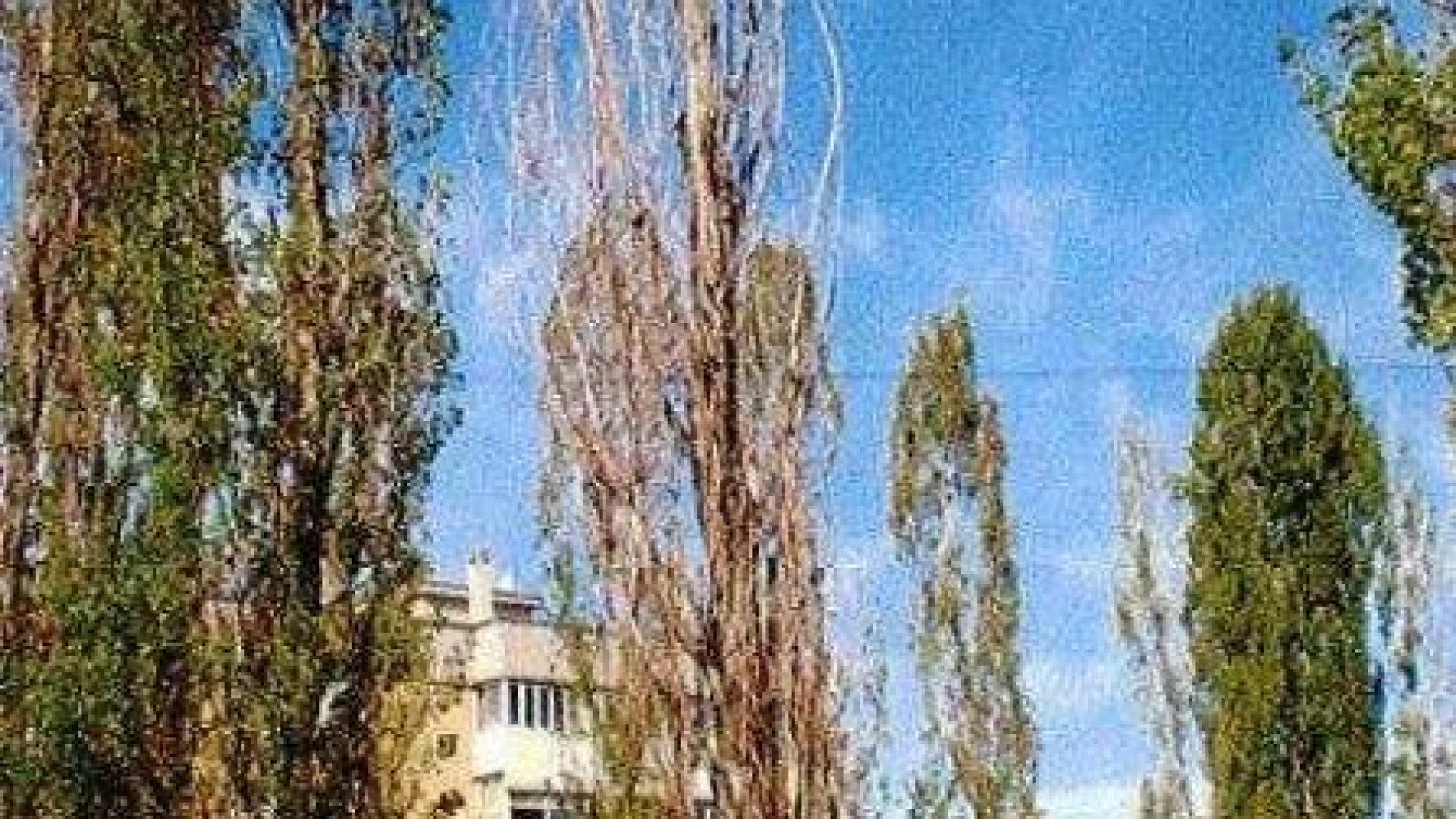 Alberi secchi e instabili, il Comune ne abbatte nove. Rimpiazzati in primavera