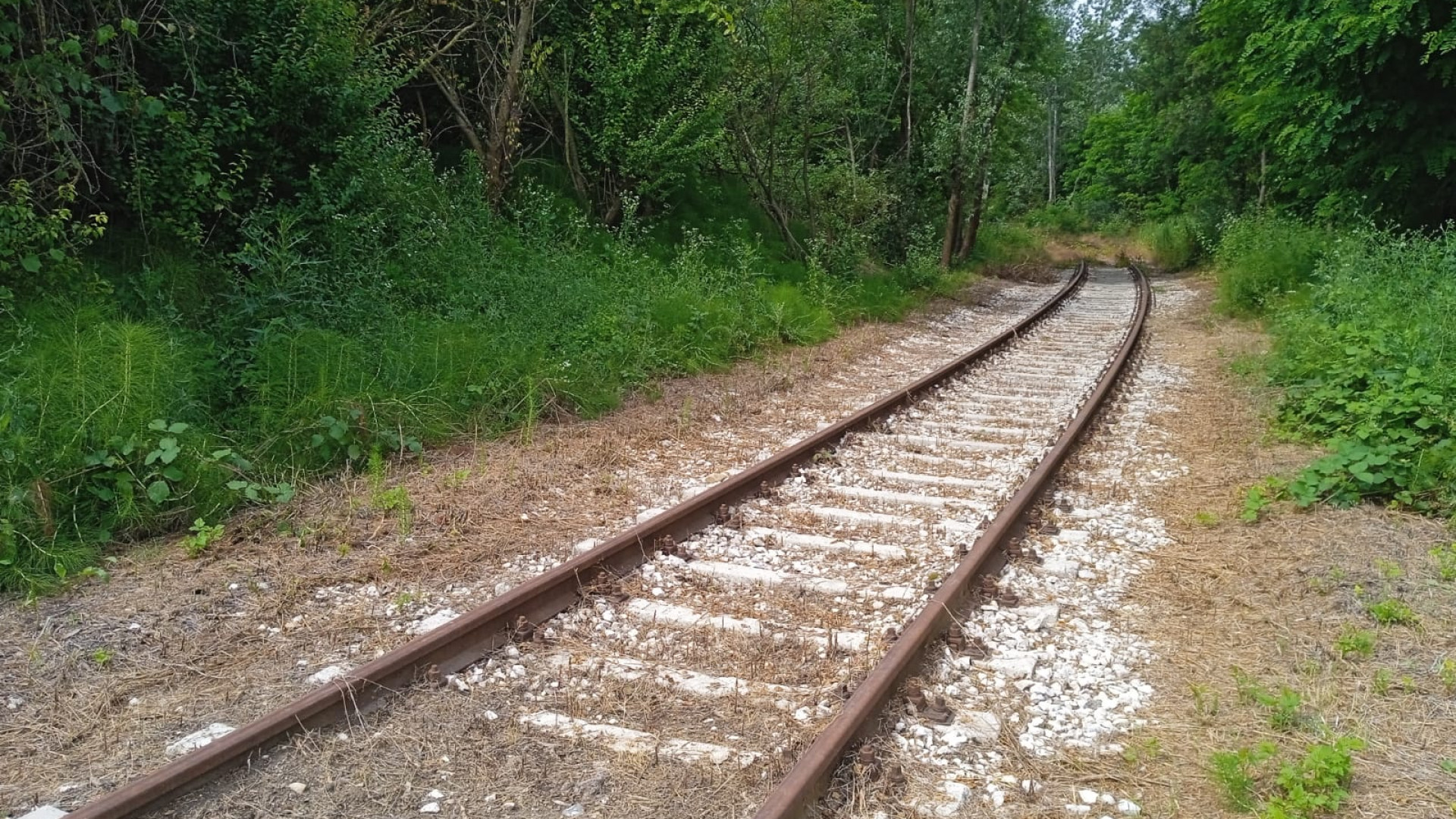 Castel San Giovanni, da luglio parte lo scalo ferroviario del polo logistico