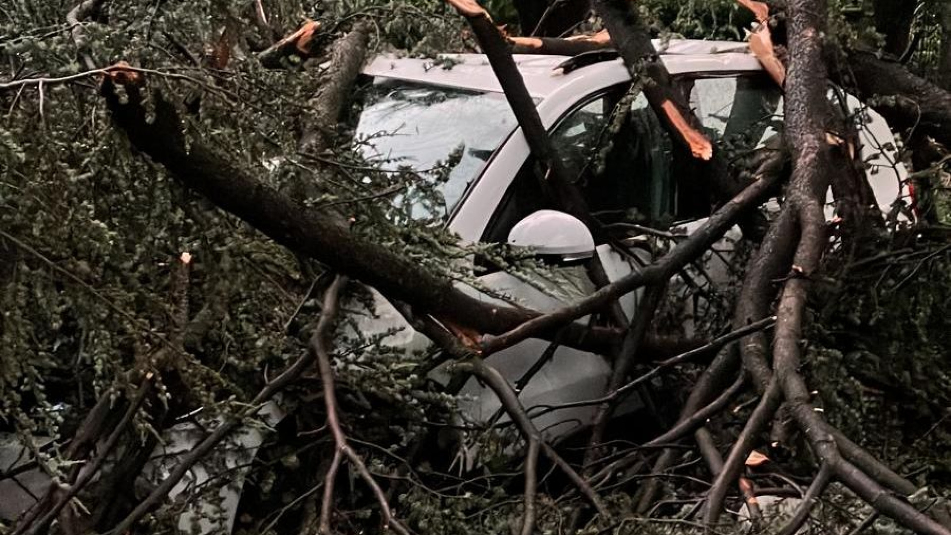 Alberi caduti, crolli e black out: 150 richieste di aiuto. Novemila utenze senza luce