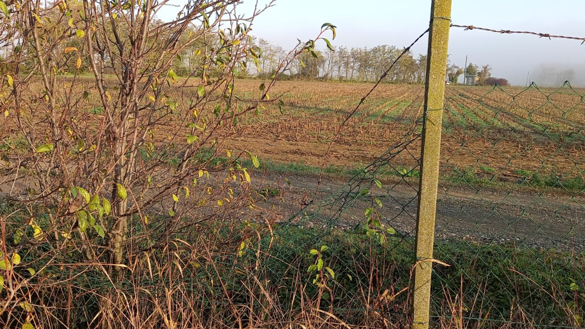 A Carpaneto ancora "furti del sabato sera": c'è chi si è trovato i ladri in casa