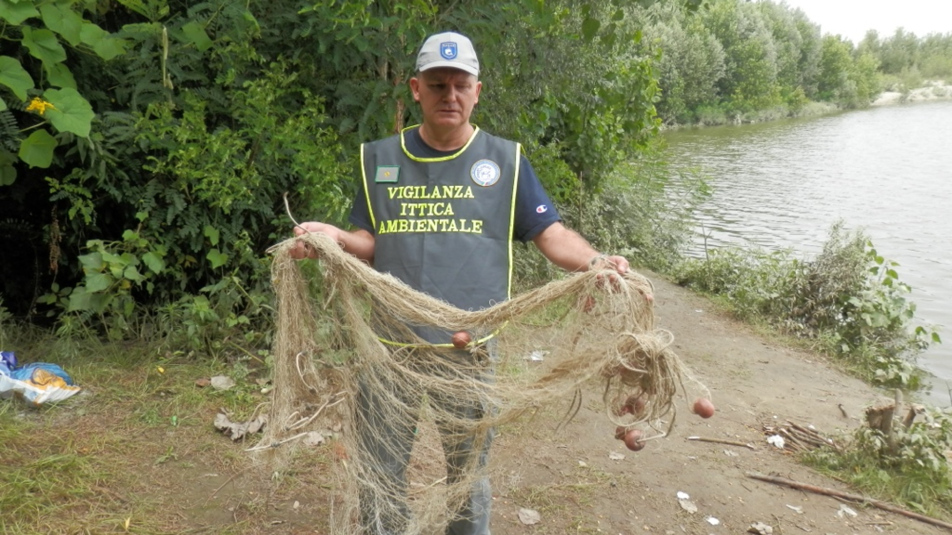 Pesca di frodo in Po: carpe liberate
