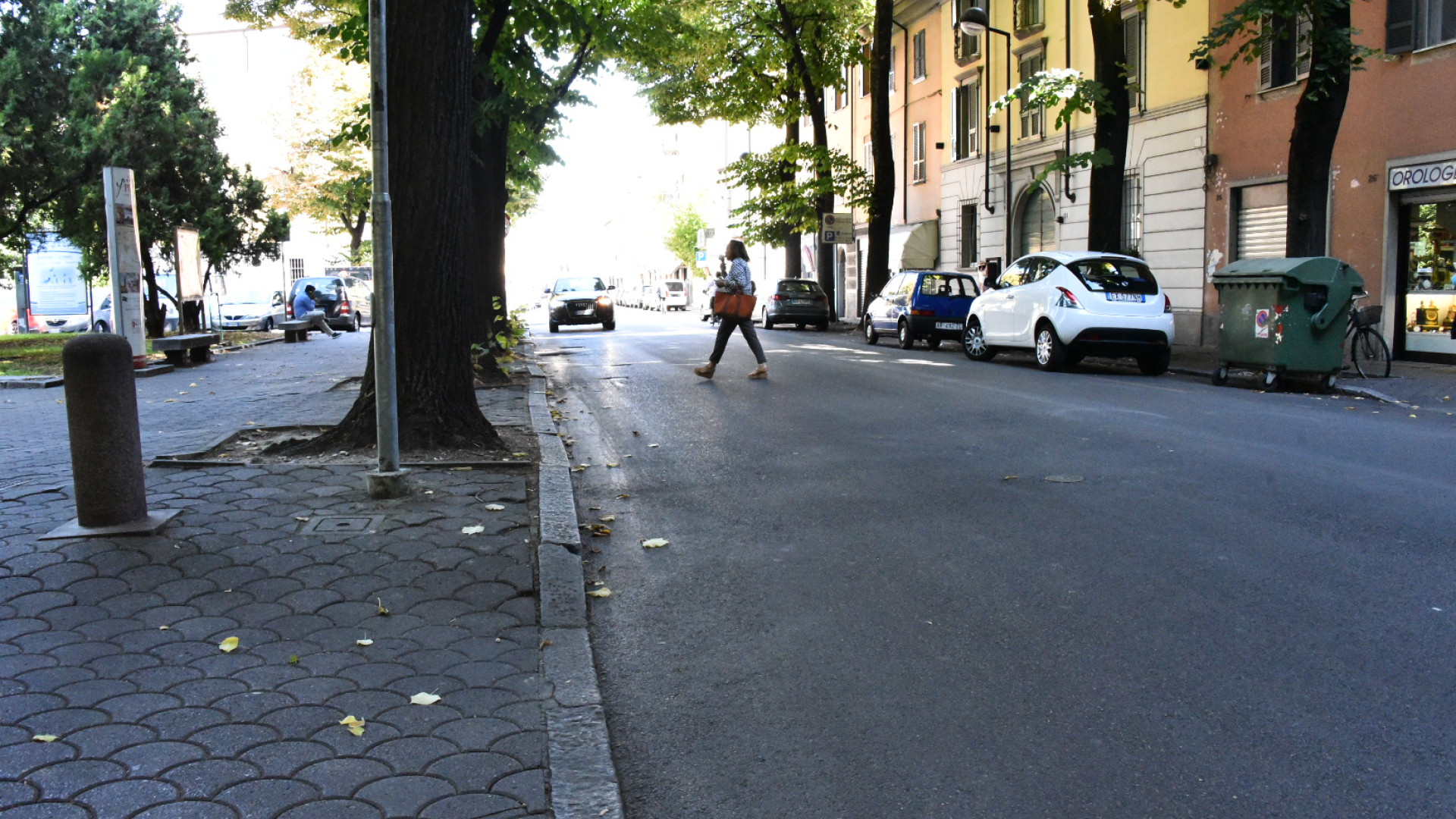Nuovi alberi in via Beveorora e via Palmerio: lunedì la piantumazione