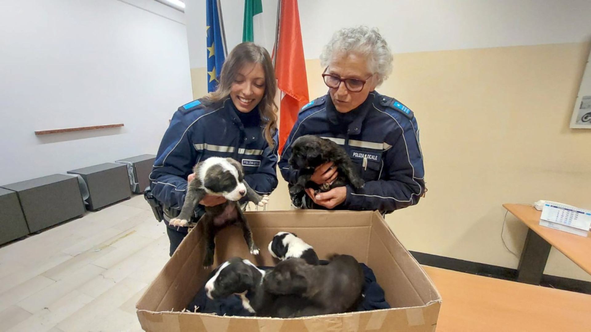 La polizia locale salva cinque cuccioli abbandonati in uno scatolone a Borghetto