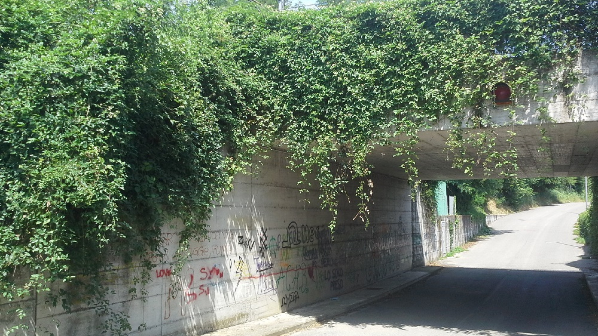 La segnalazione di un cittadino: "Via Bertucci come una giungla"