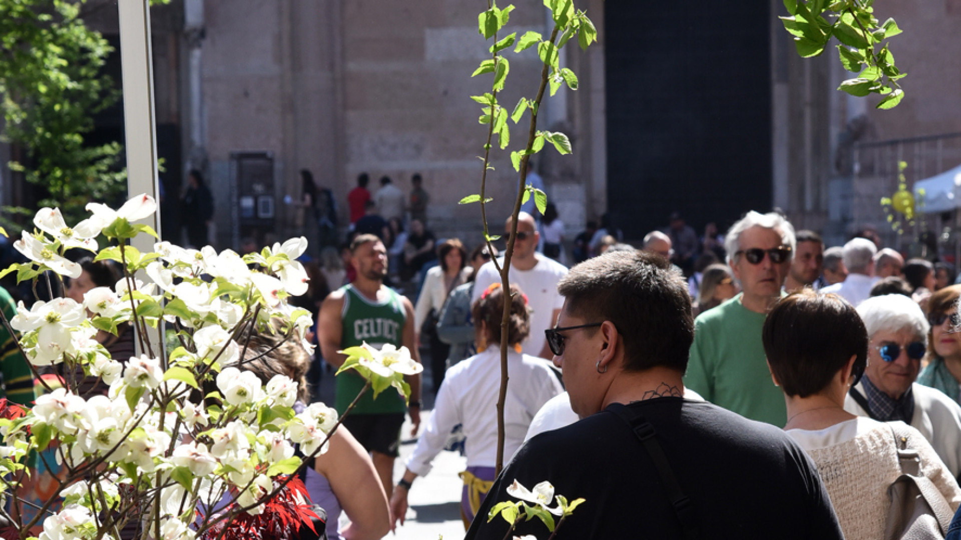 Oltre 50 espositori colorano |il centro storico con  la due giorni di "Piacenza in fiore"