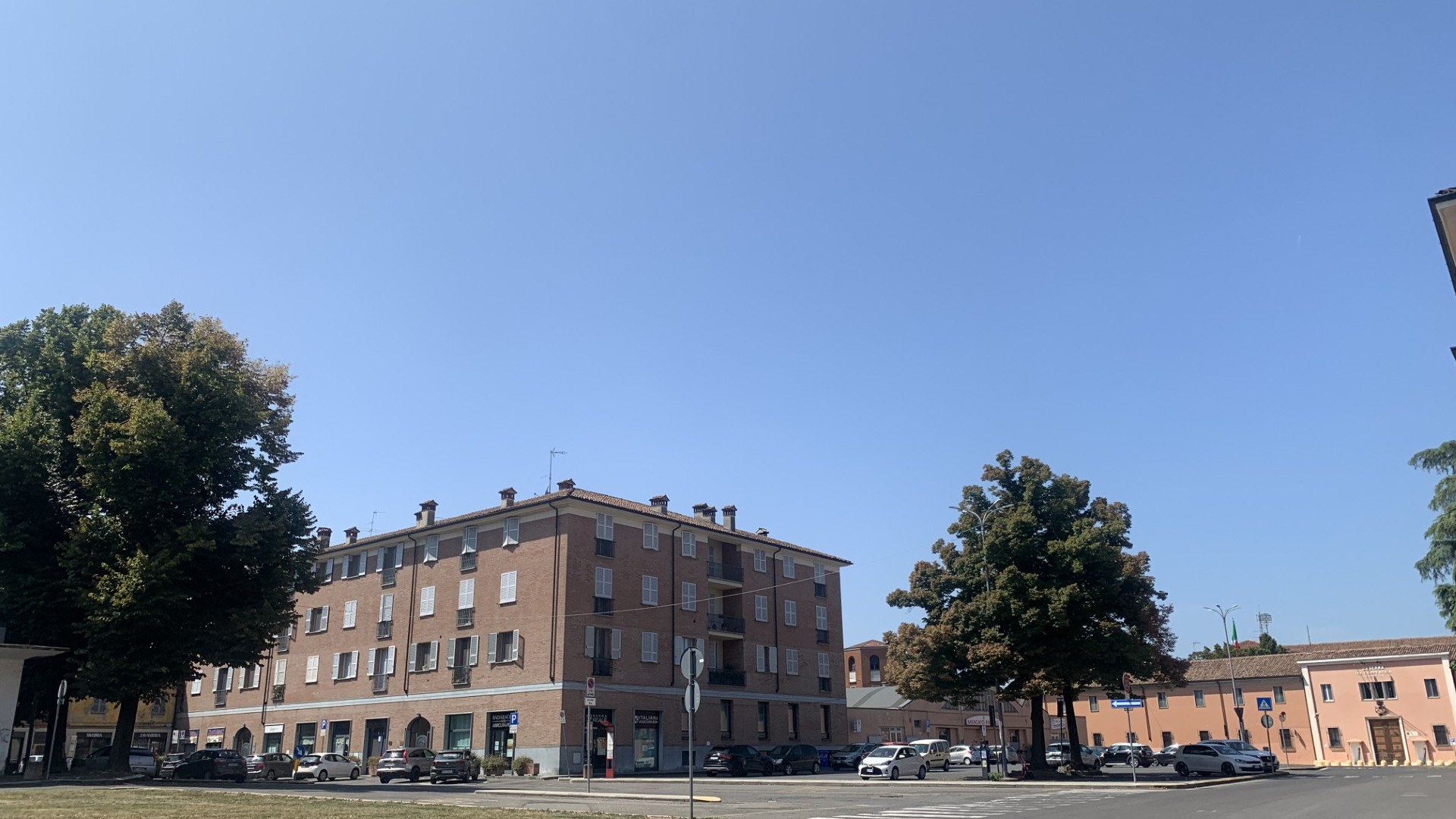 Le associazioni ambientaliste al prefetto: "Non abbattete gli alberi in piazza Cittadella"